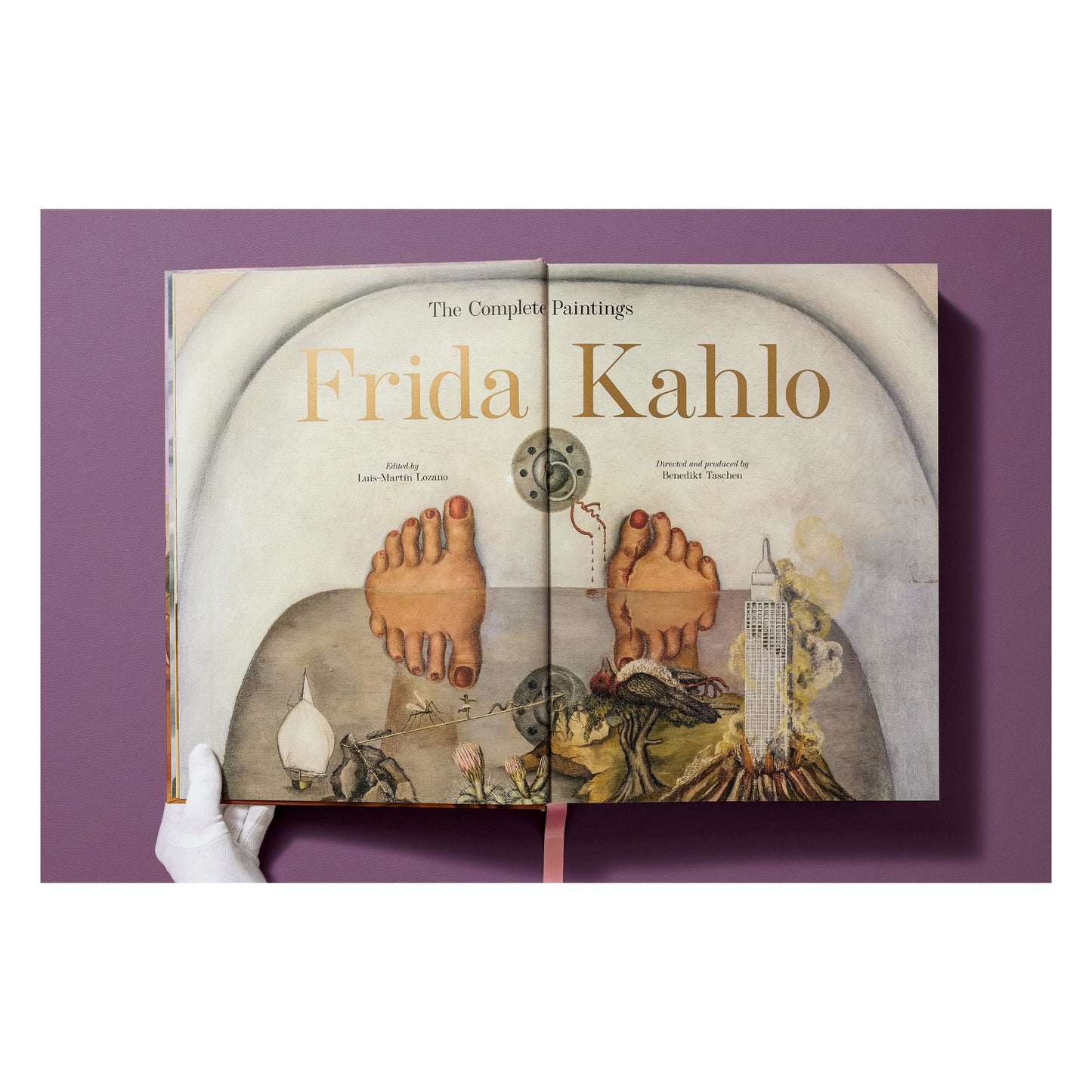 Frida Kahlo. Toute l'œuvre peinte (French)