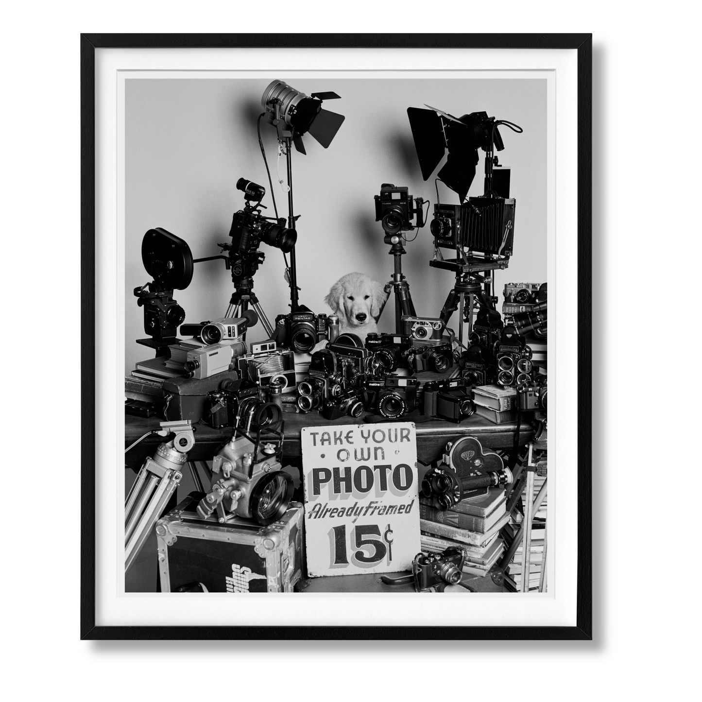 Bruce Weber. The Golden Retriever Photographic Society. Art Edition No. 101–200 ‘Hud, New York City, 2011’ (German, French, English)