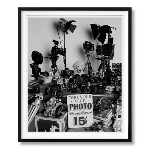 Bruce Weber. The Golden Retriever Photographic Society. Art Edition No. 101–200 ‘Hud, New York City, 2011’ (German, French, English) (AP)
