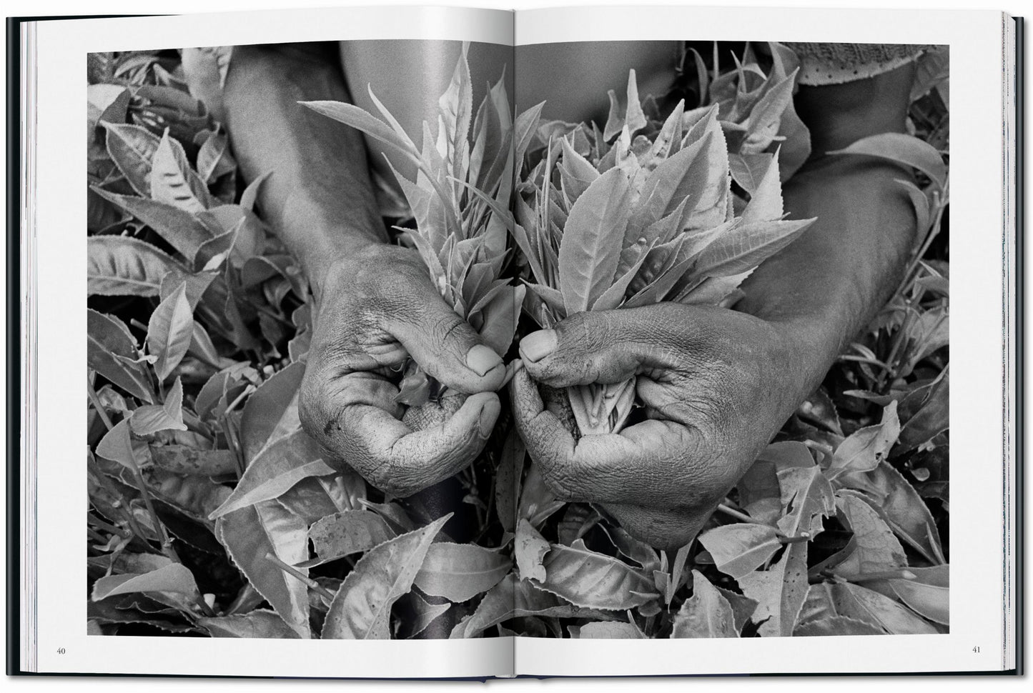 Sebastião Salgado. Workers. An Archaeology of the Industrial Age (English)