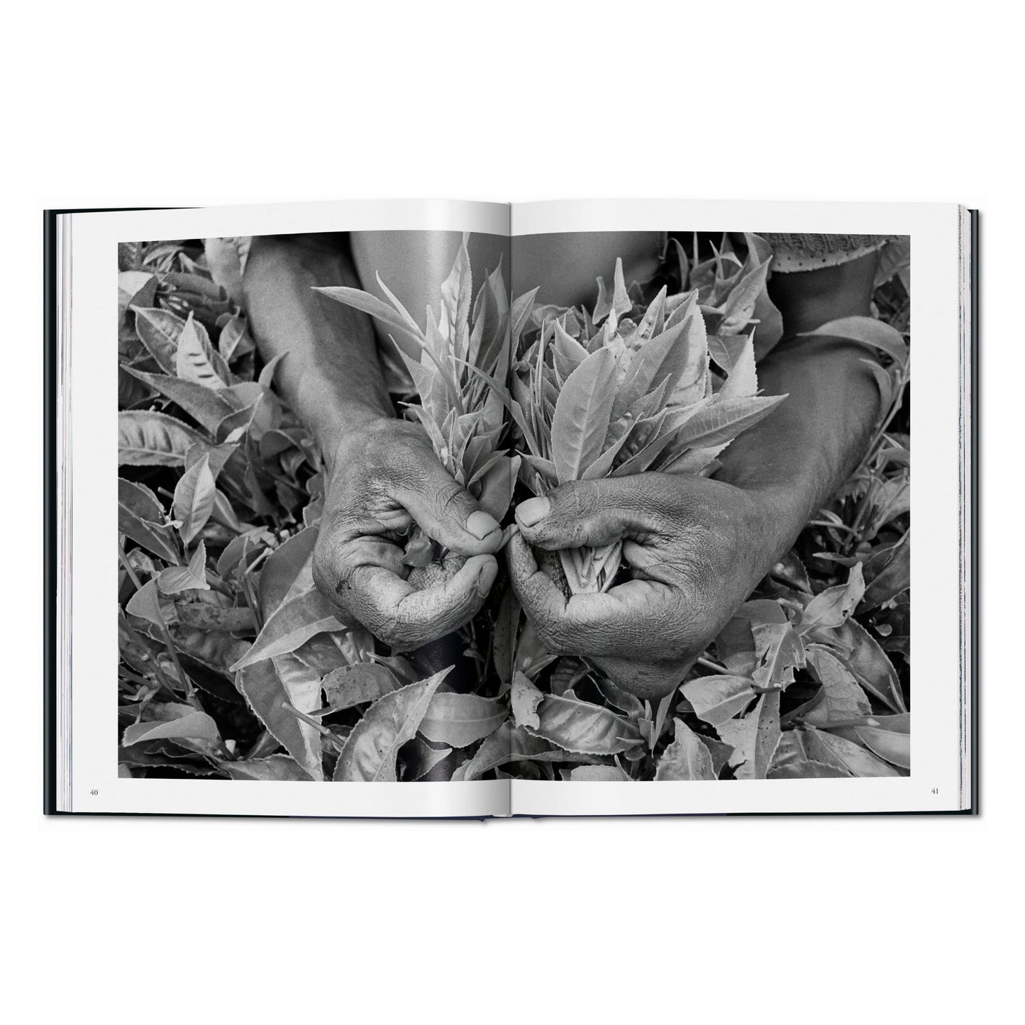 Sebastião Salgado. Trabalhadores. Uma arquelogigia da era industrial (Portuguese)