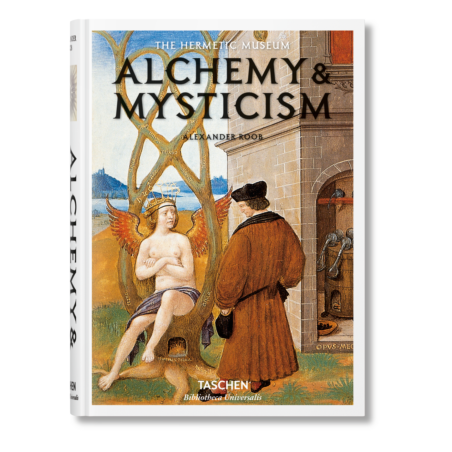 Alchemie & Mystiek (Dutch)