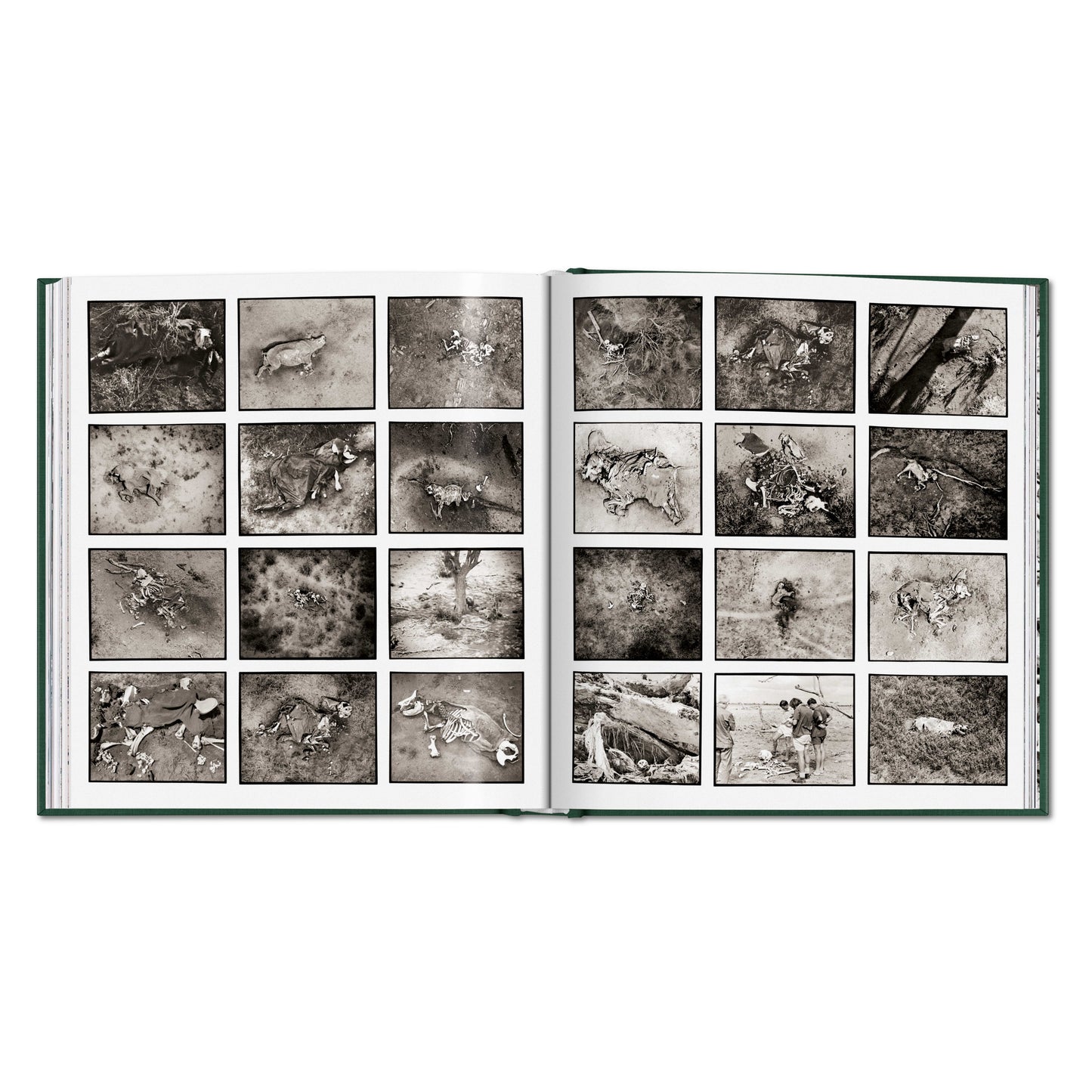 Peter Beard. The End of the Game (English)