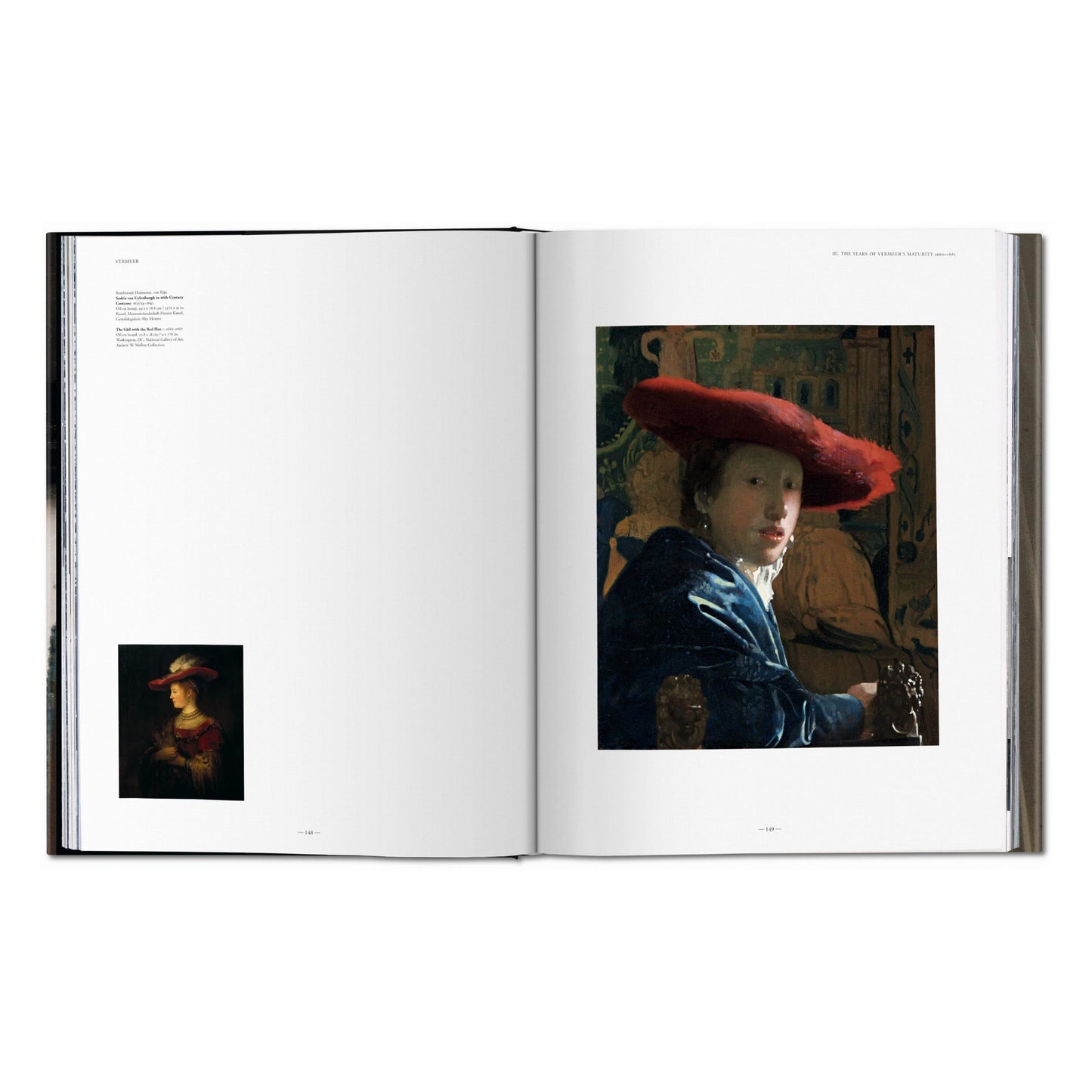 Vermeer. Das vollständige Werk (German)