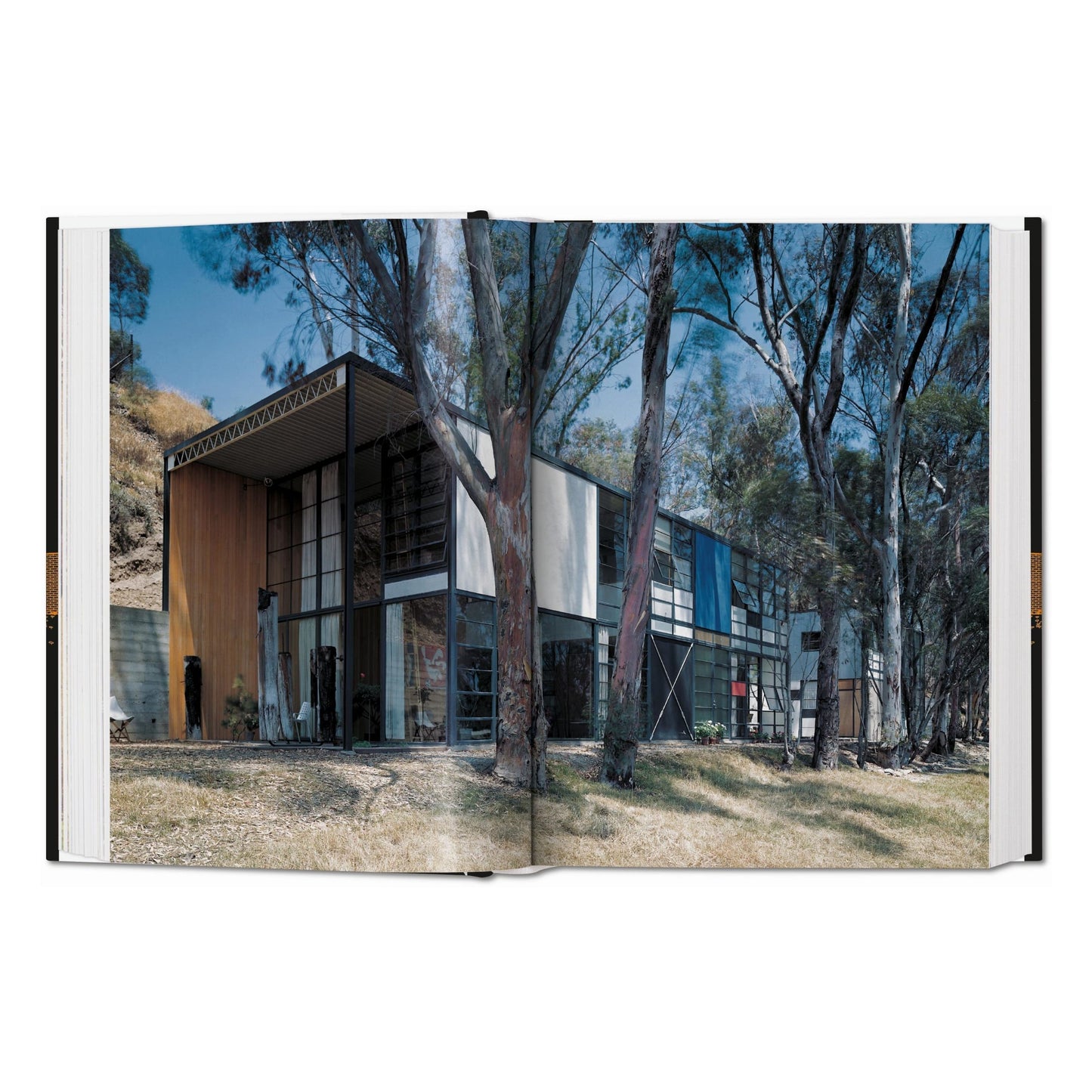 Case Study Houses. The Complete CSH Program 1945-1966. 45th Ed. (German, French, English)