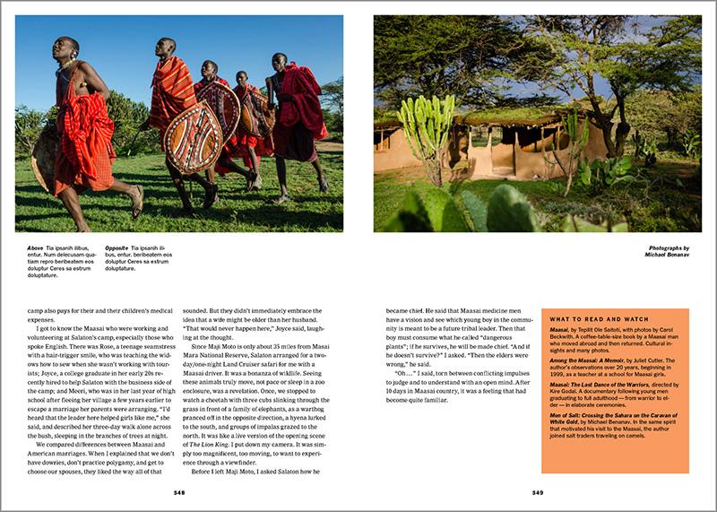 The New York Times. Cultured Traveler. 100 Reisen für Weltenbummler von Agadir bis Yogyakarta (German)