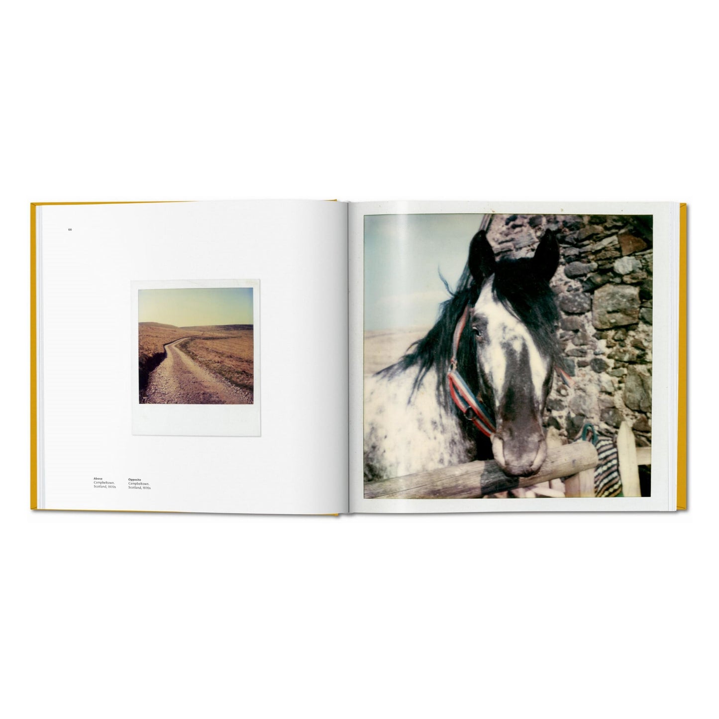 Linda McCartney. The Polaroid Diaries, Art Edition No. 63–124 ‘Sussex, England, 1980s’ (German, French, English)
