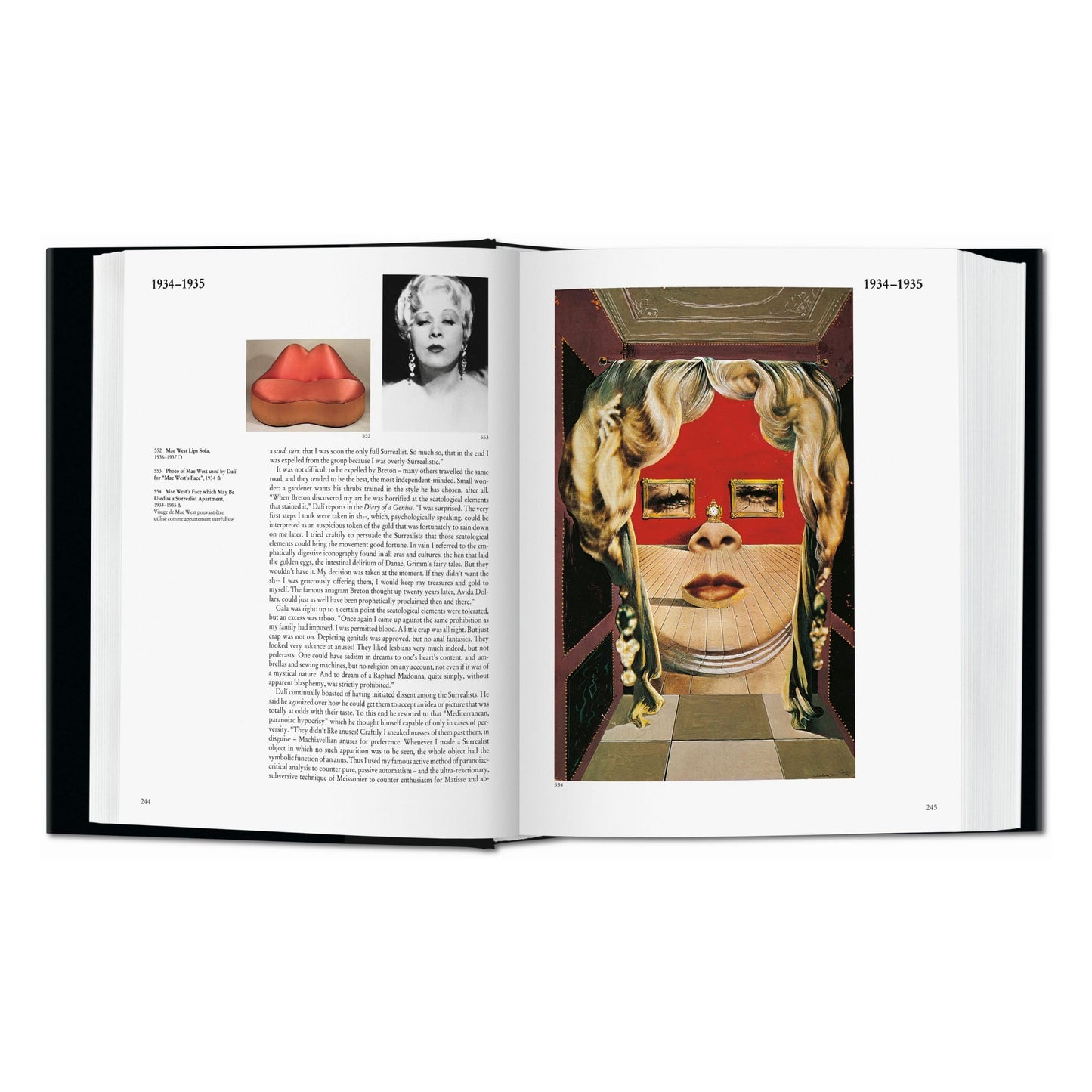 Dalí. Het geschilderde werk (Dutch)