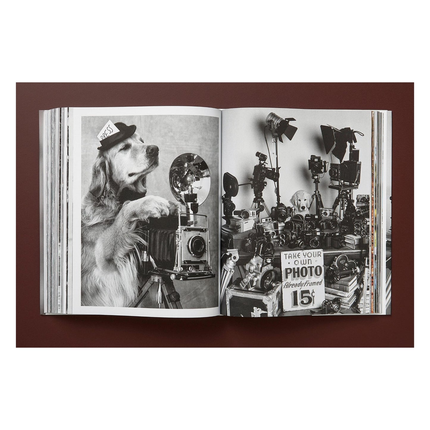 Bruce Weber. The Golden Retriever Photographic Society. Art Edition No. 1–100 ‘Little Bear Ranch, Montana, 1996’ (German, French, English) (AP)