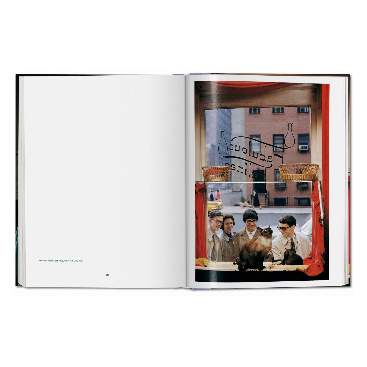 Walter Chandoha. Cats. Photographs 1942–2018 (German, French, English)