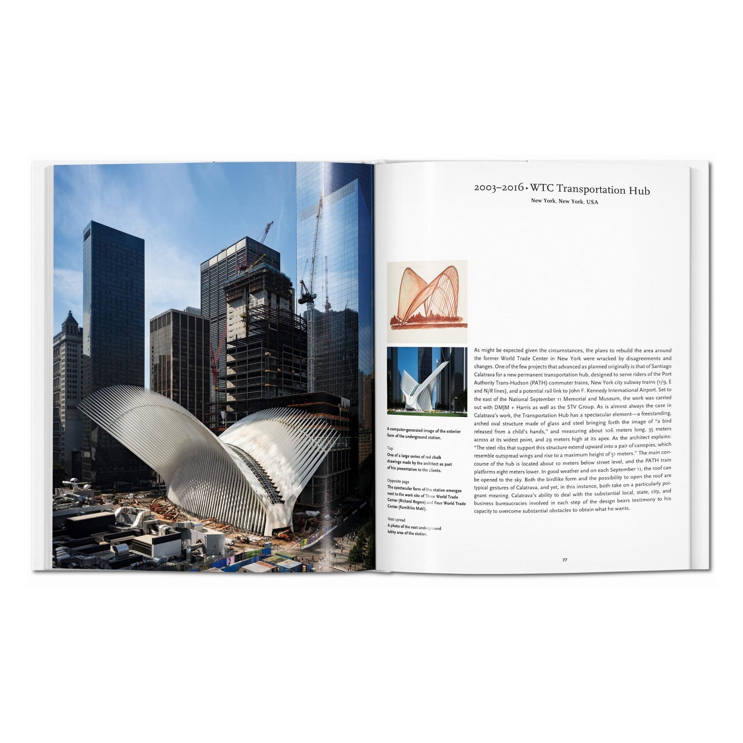 Calatrava (German)