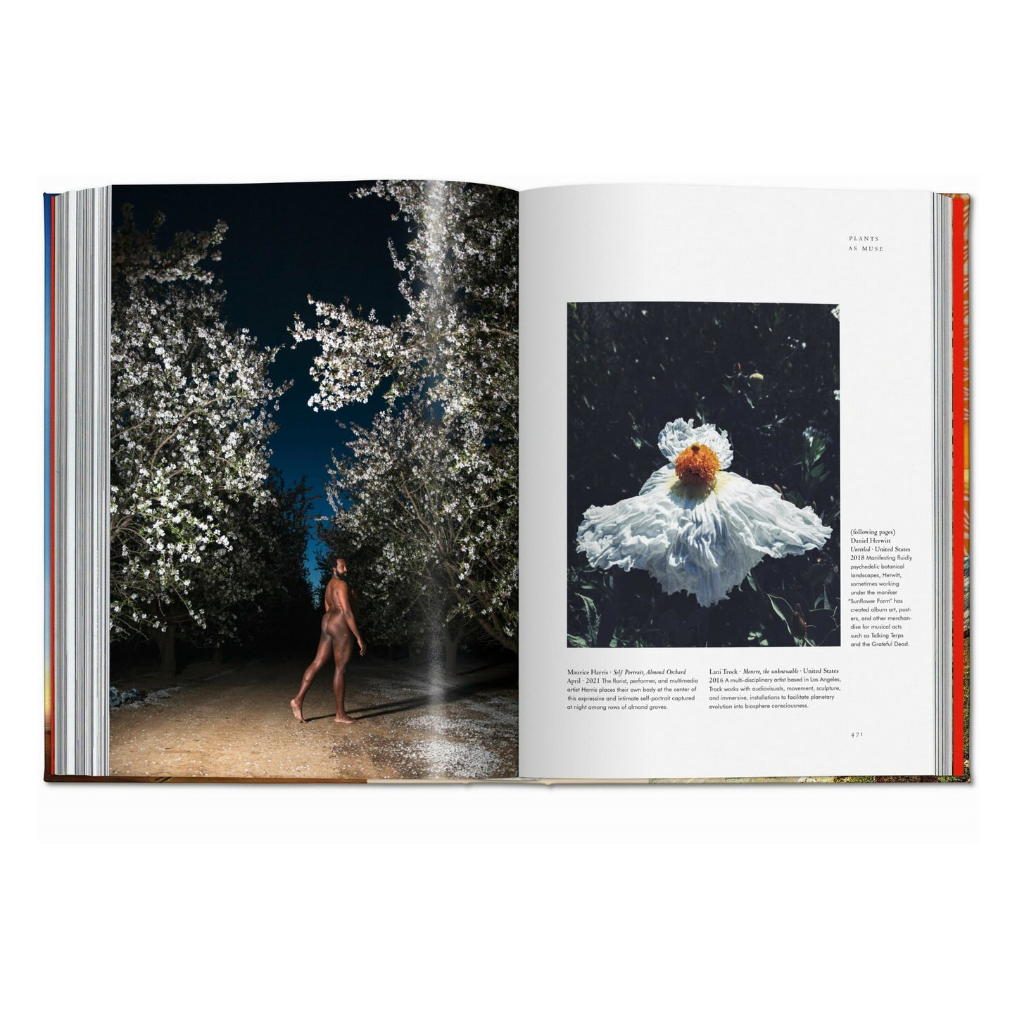 Pflanzen-Magie. Bibliothek der Esoterik (German)