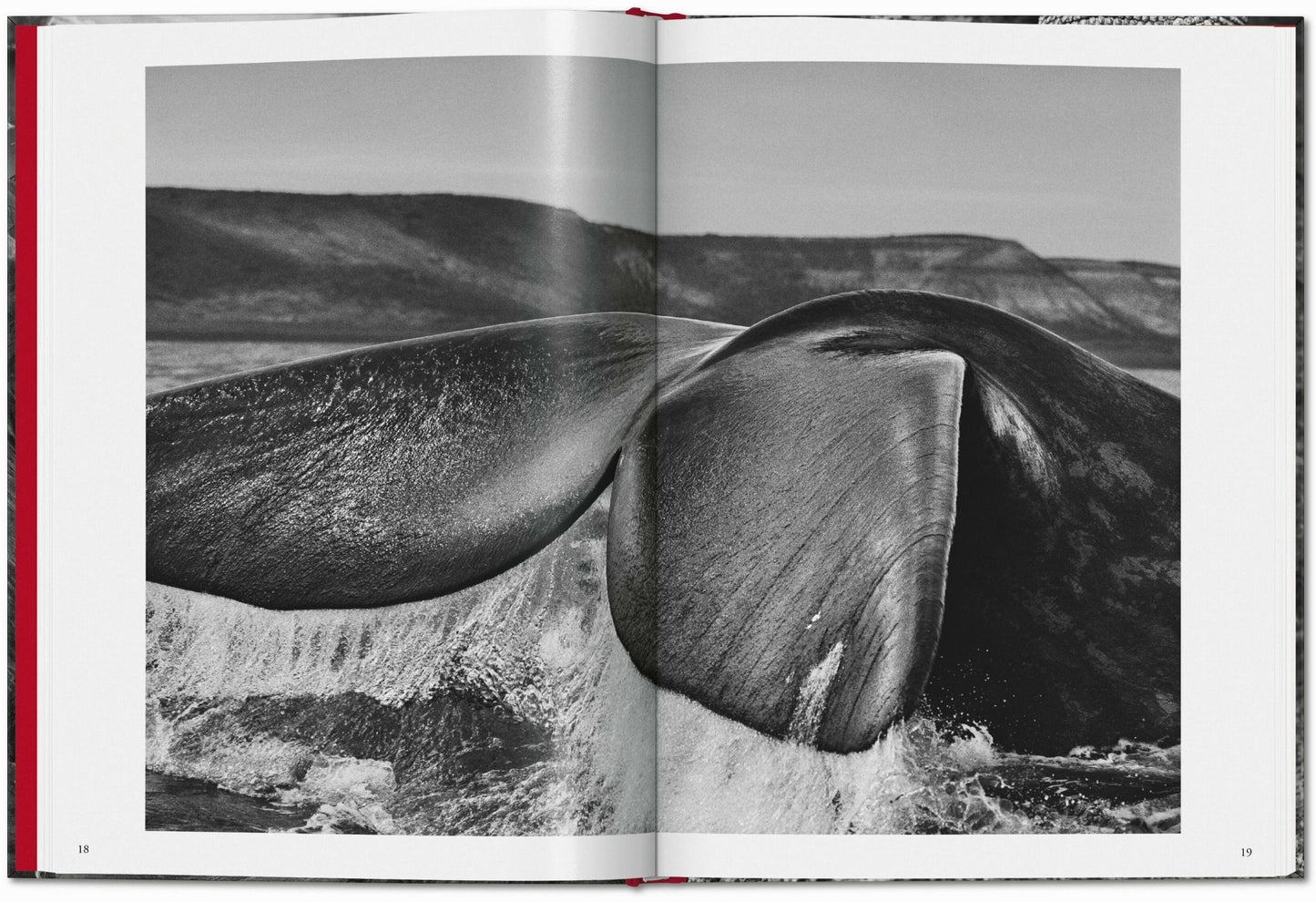 Sebastião Salgado. Gênesis (Portuguese)