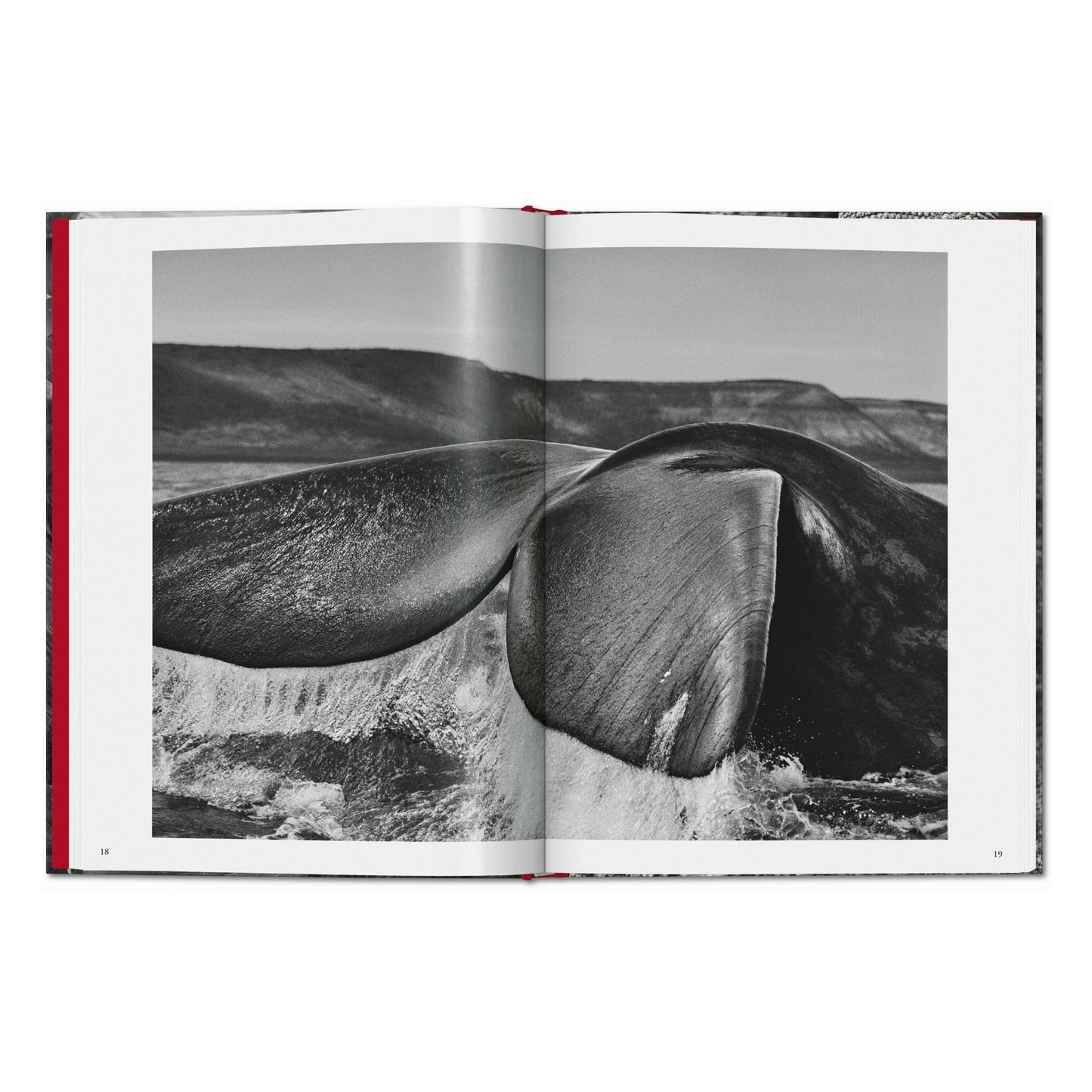 Sebastião Salgado. Genesis (French)