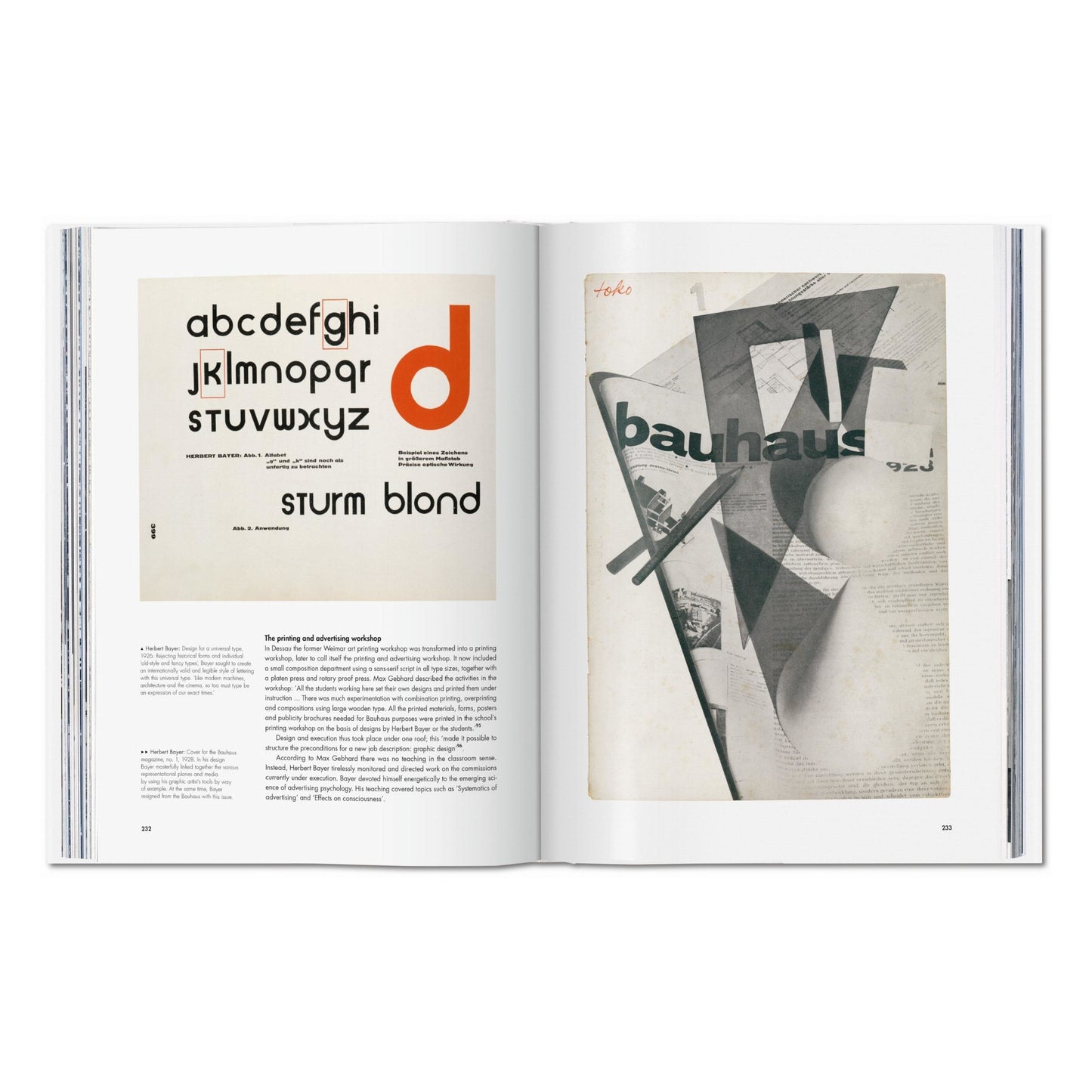 Bauhaus. Edición actualizada (Spanish)