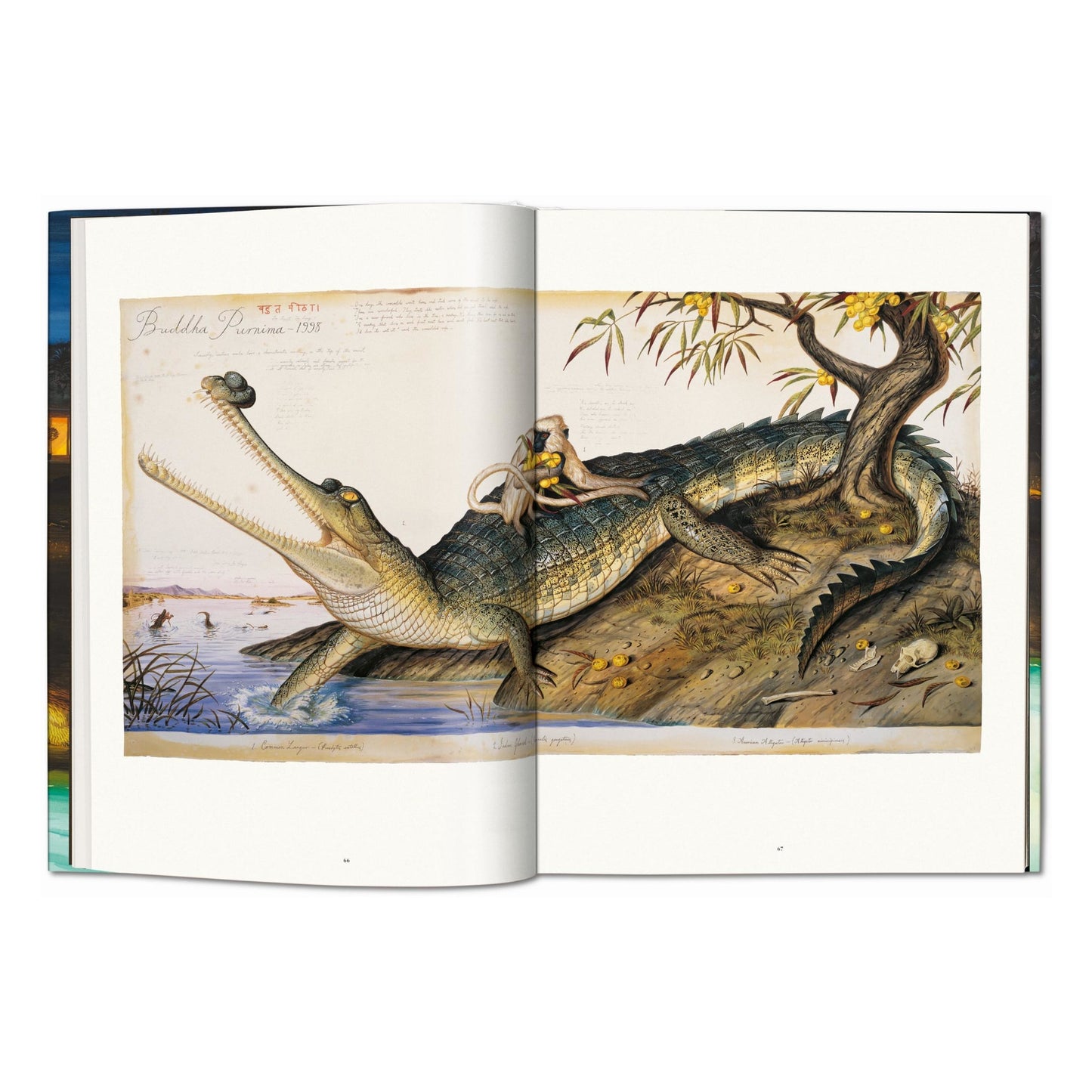 Walton Ford. Pancha Tantra. Updated Edition (German, French, English)