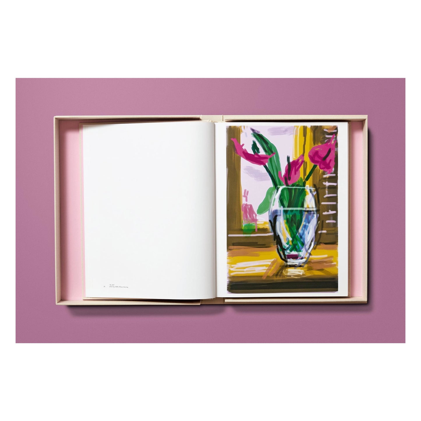 David Hockney. My Window. Art Edition (No. 1–250) ‘No. 535’. 28th June 2009 (English)