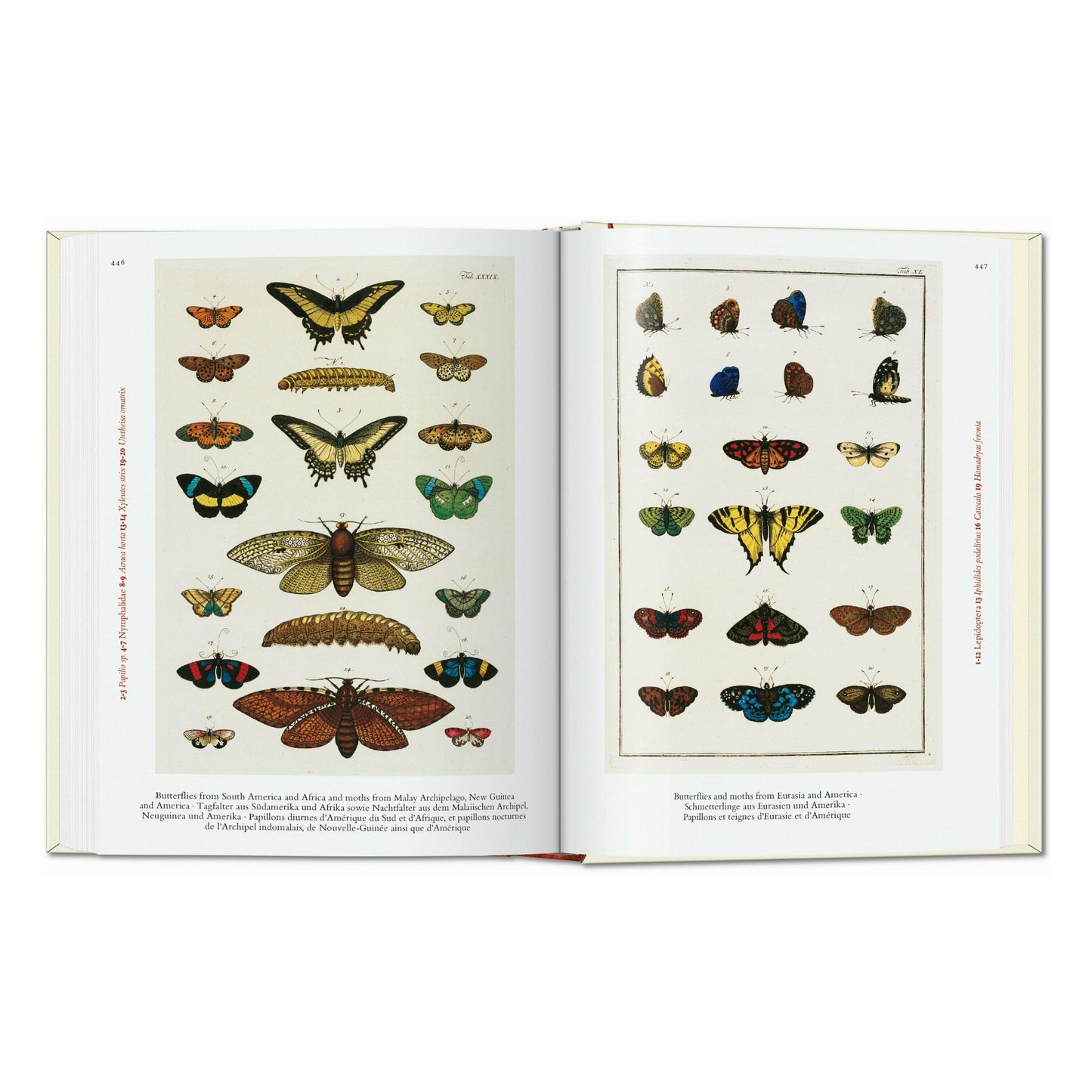 Seba. Cabinet of Natural Curiosities. 45th Ed. (German, French, English)