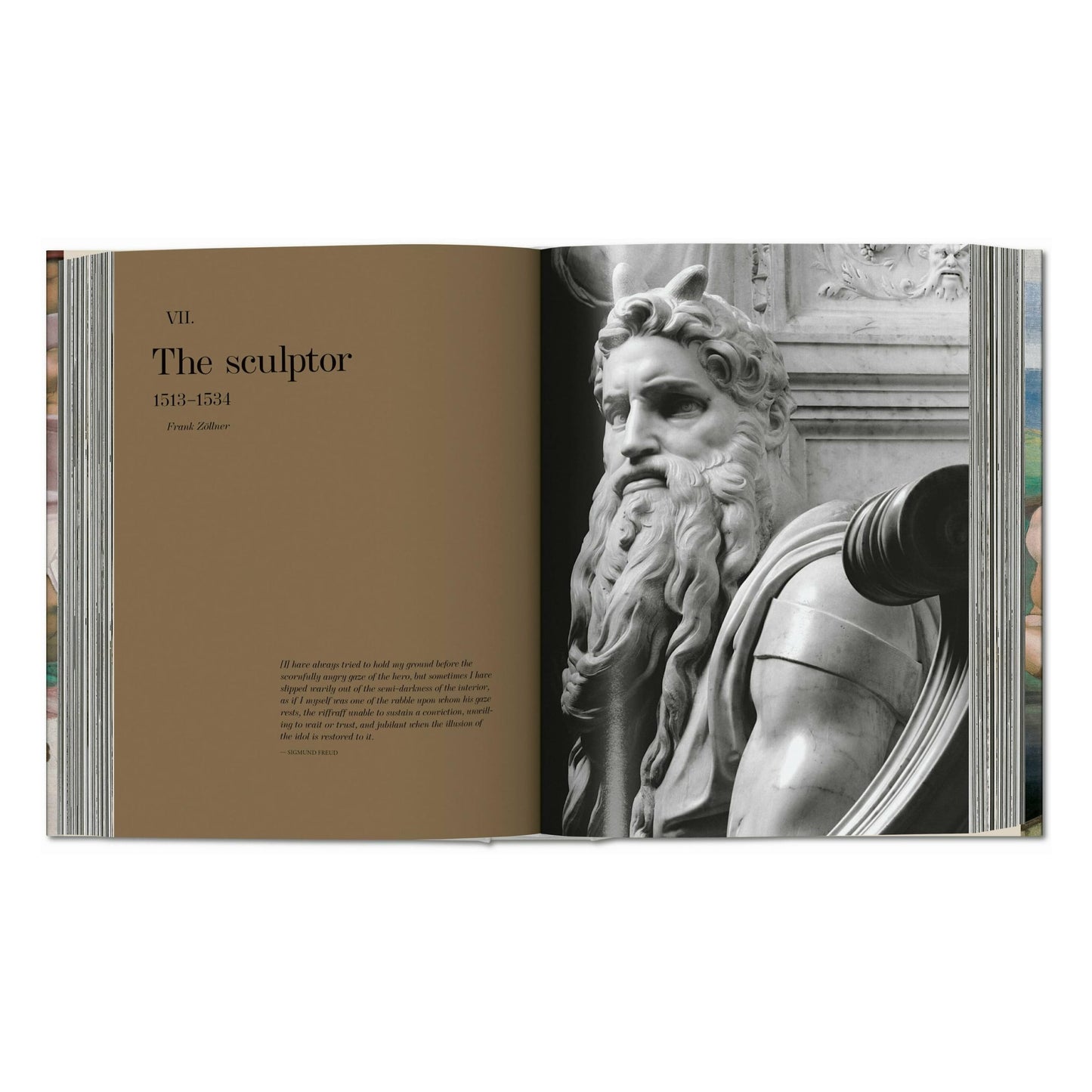 Michelangelo. L'opera completa. Pittura, scultura, architettura (Italian)