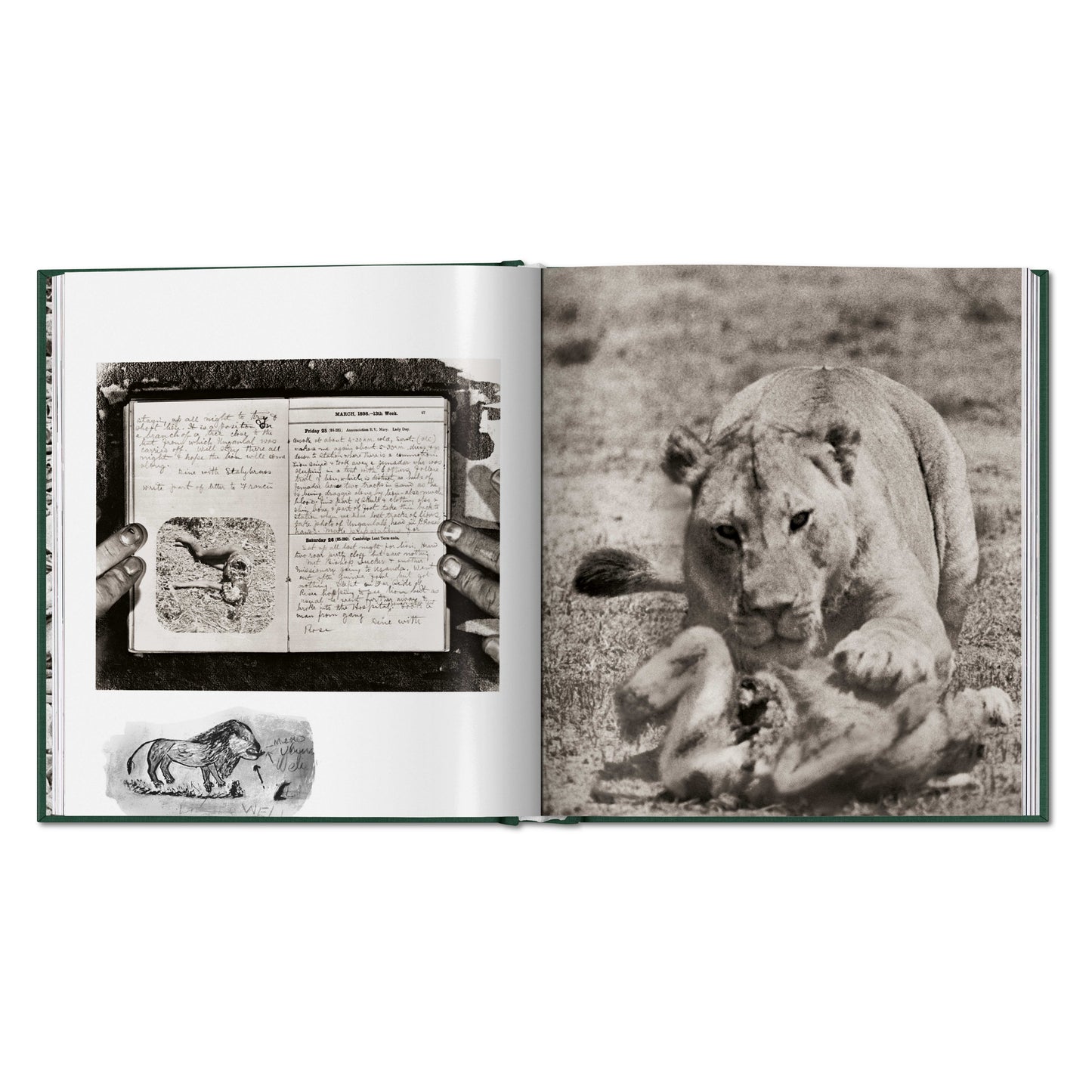 Peter Beard. The End of the Game (English)