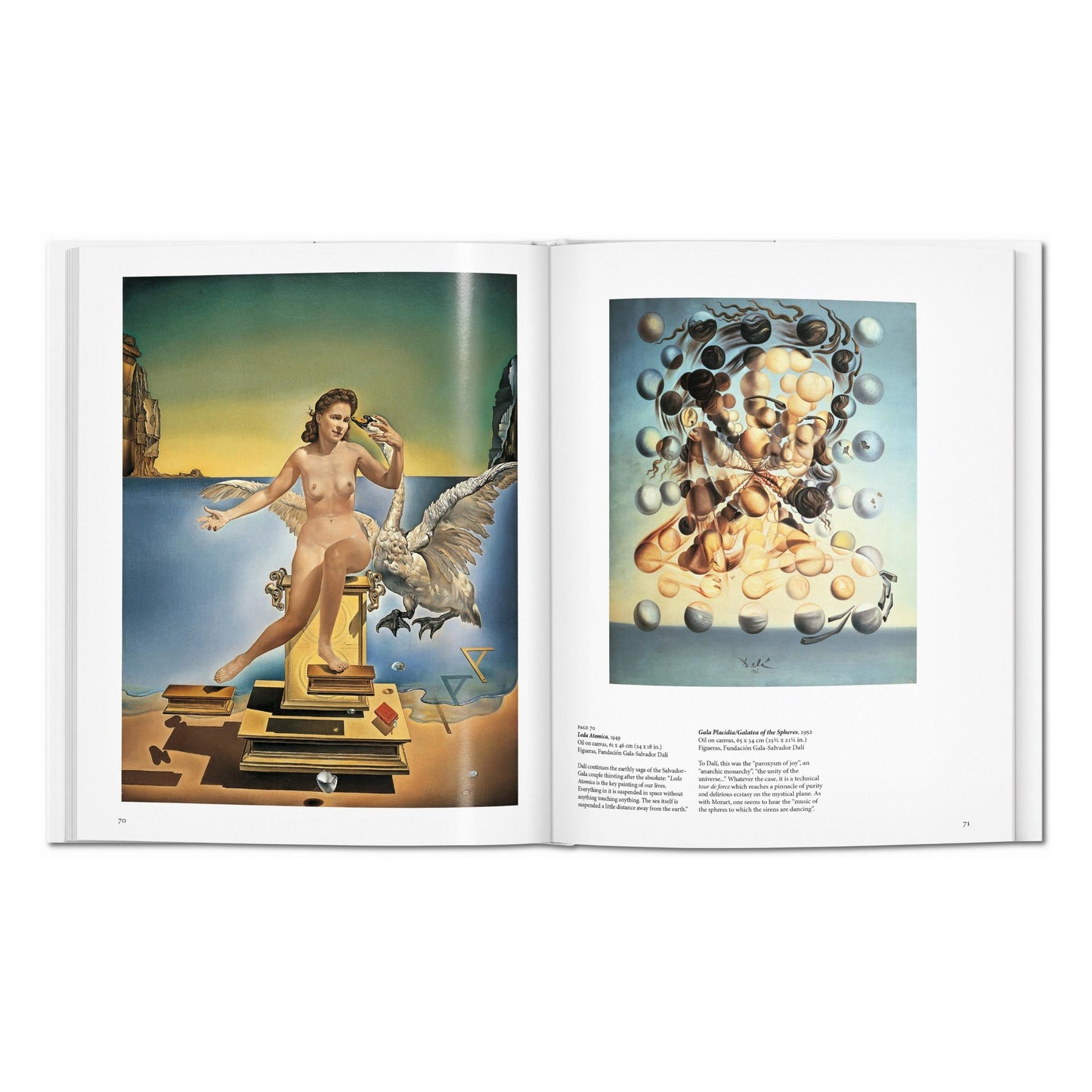 Dalí (Dutch)