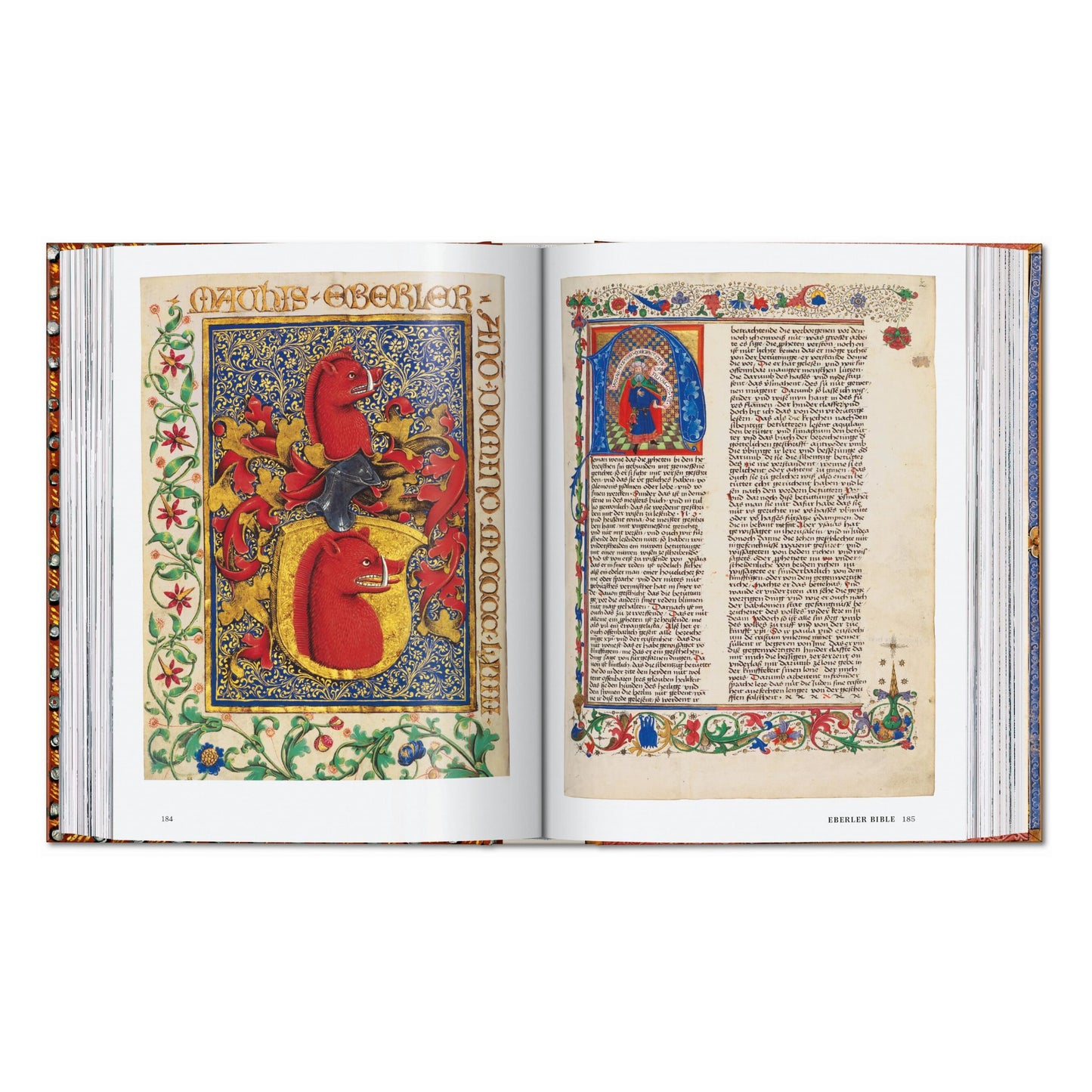 ll libro delle Bibbie. 40th Ed. (Italian)