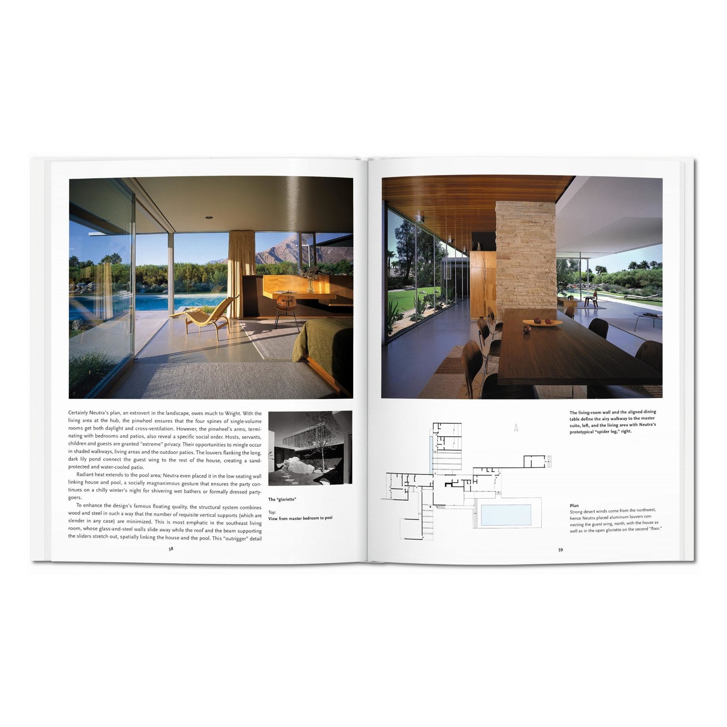 Neutra (English)