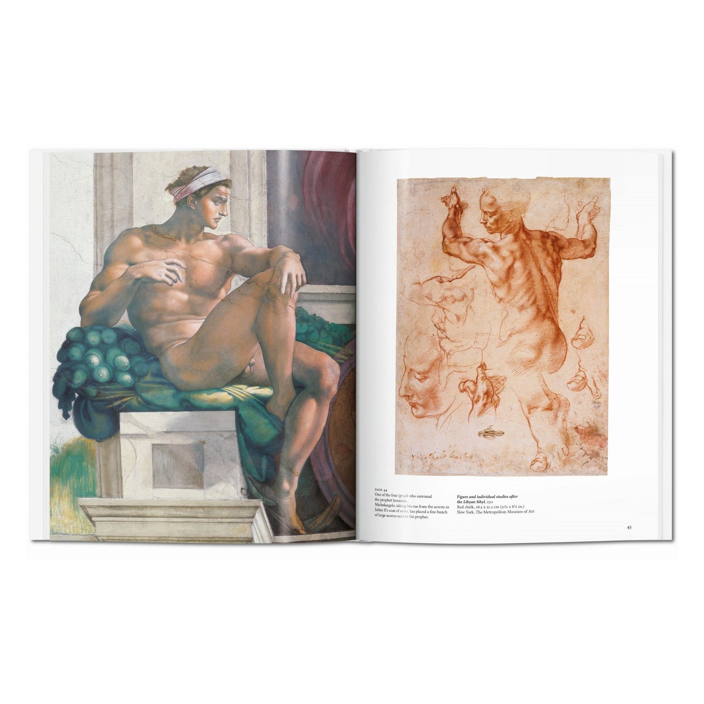 Michelangelo (German)