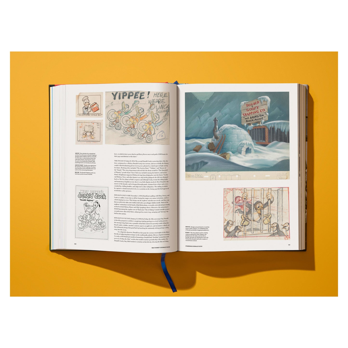 Walt Disney's Donald Duck. The Ultimate History (English)