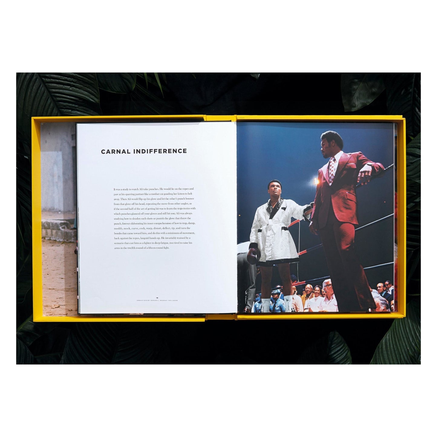 Norman Mailer. Neil Leifer. Howard L. Bingham. The Fight (English)