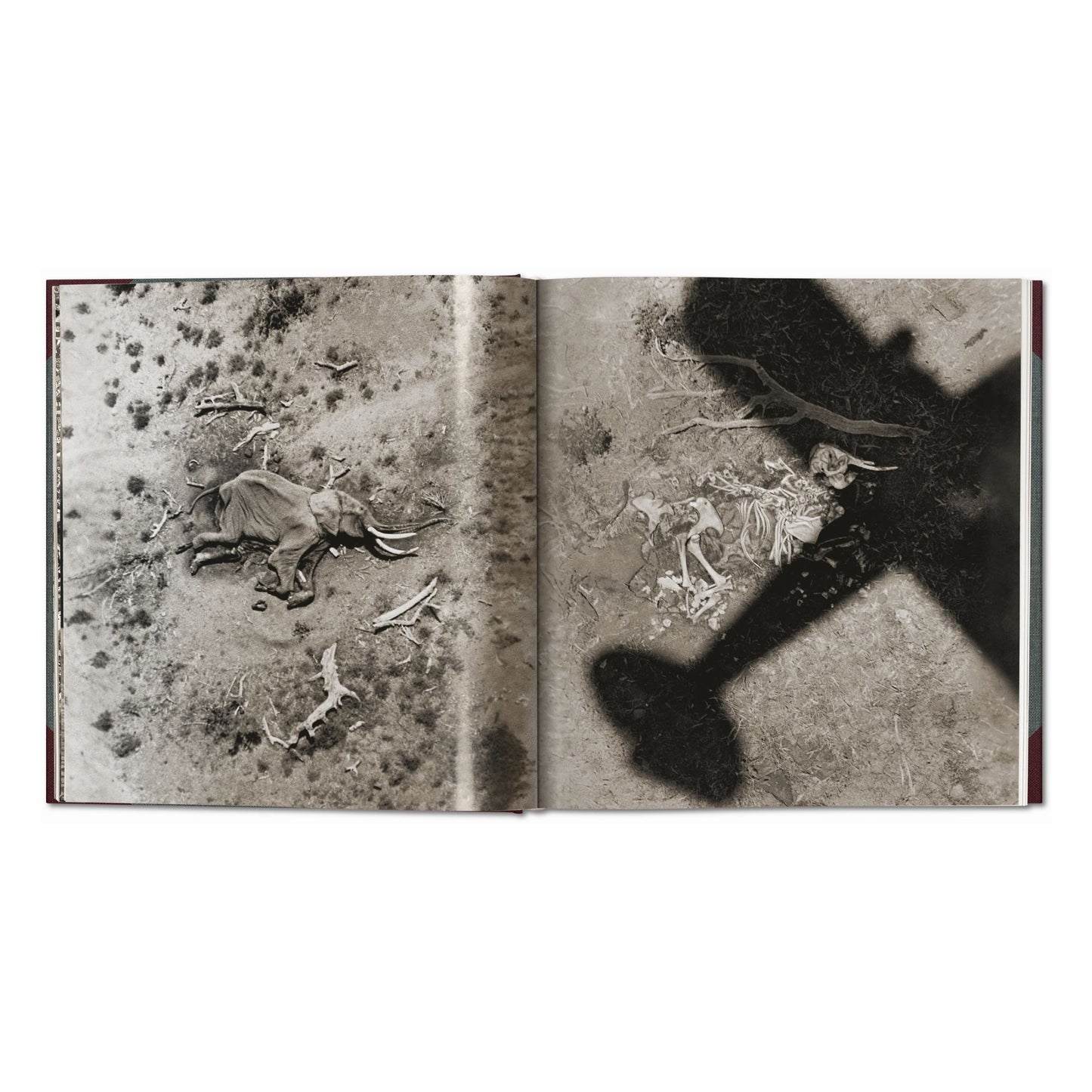 Peter Beard. The End of the Game. Revisited 2020 Edition (English)