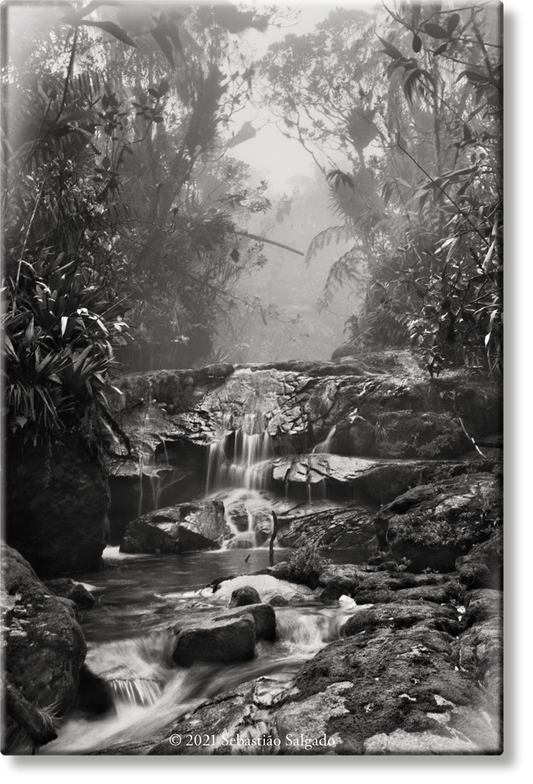 Salgado. Amazônia. Magnet ‘Creek’