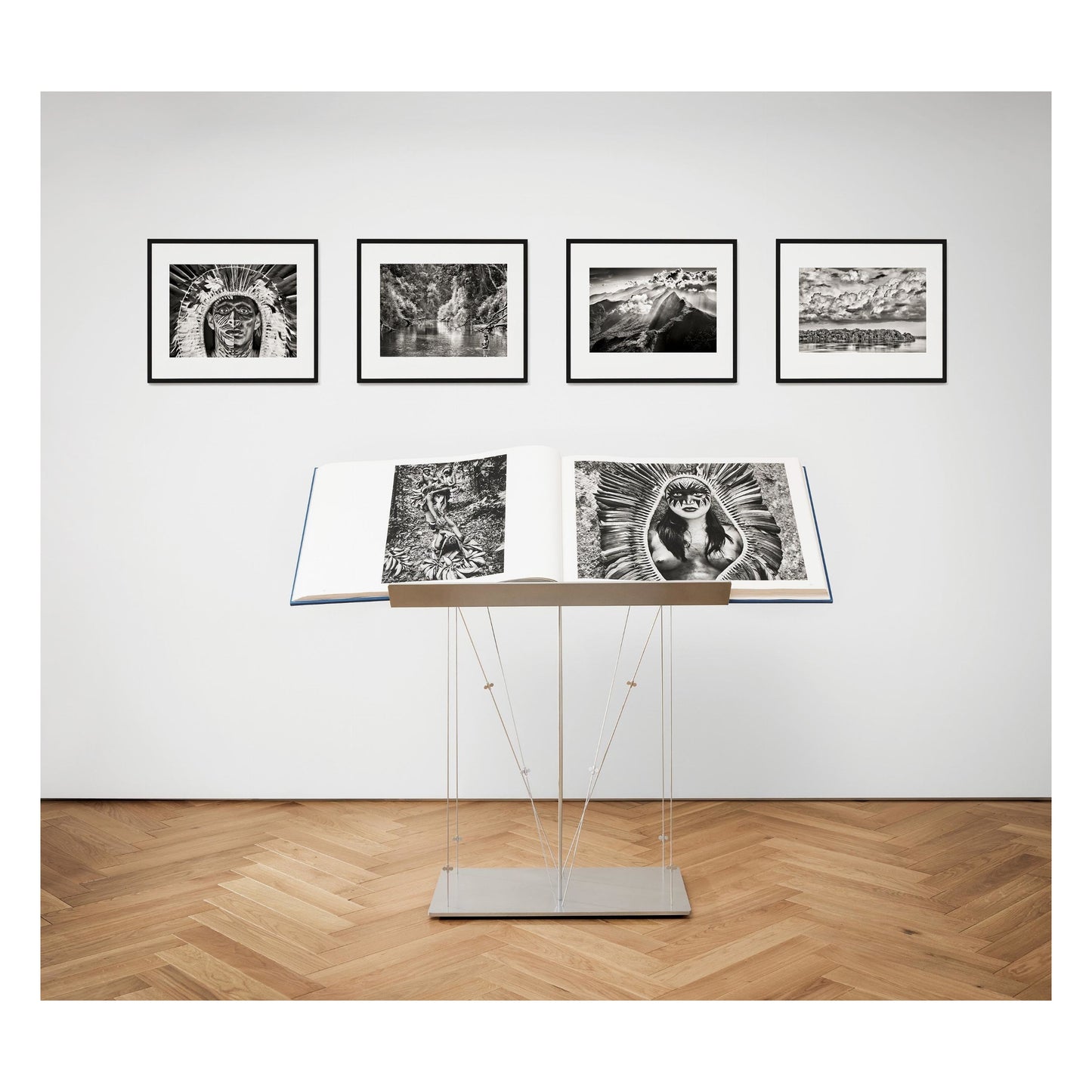 Sebastião Salgado. Amazônia. Art D (English) (AP)