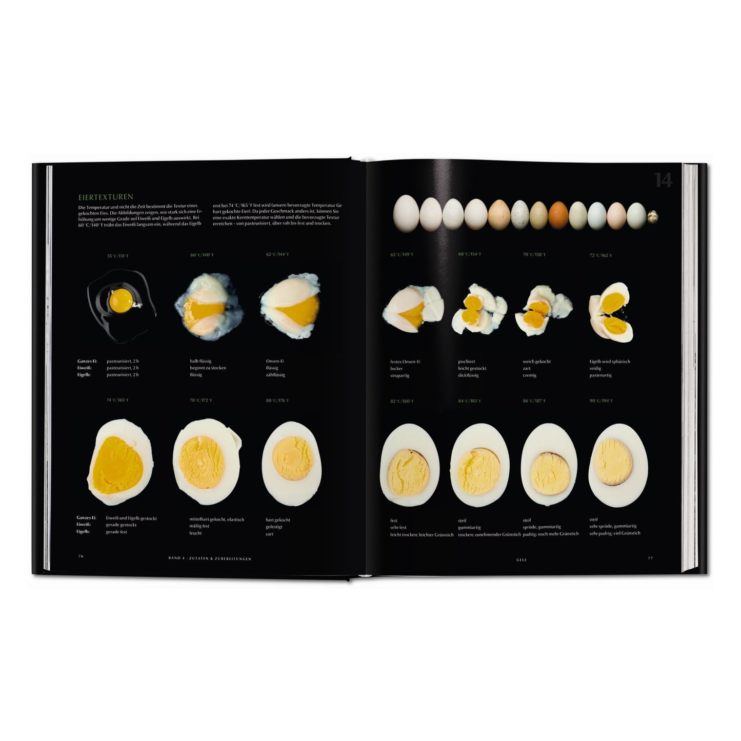 Modernist Cuisine. Die Revolution der Kochkunst (German)