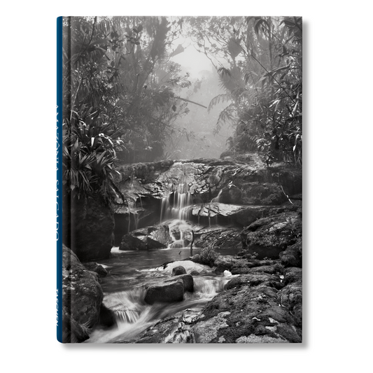 Sebastião Salgado. Amazônia. Notebook ‘Creek’