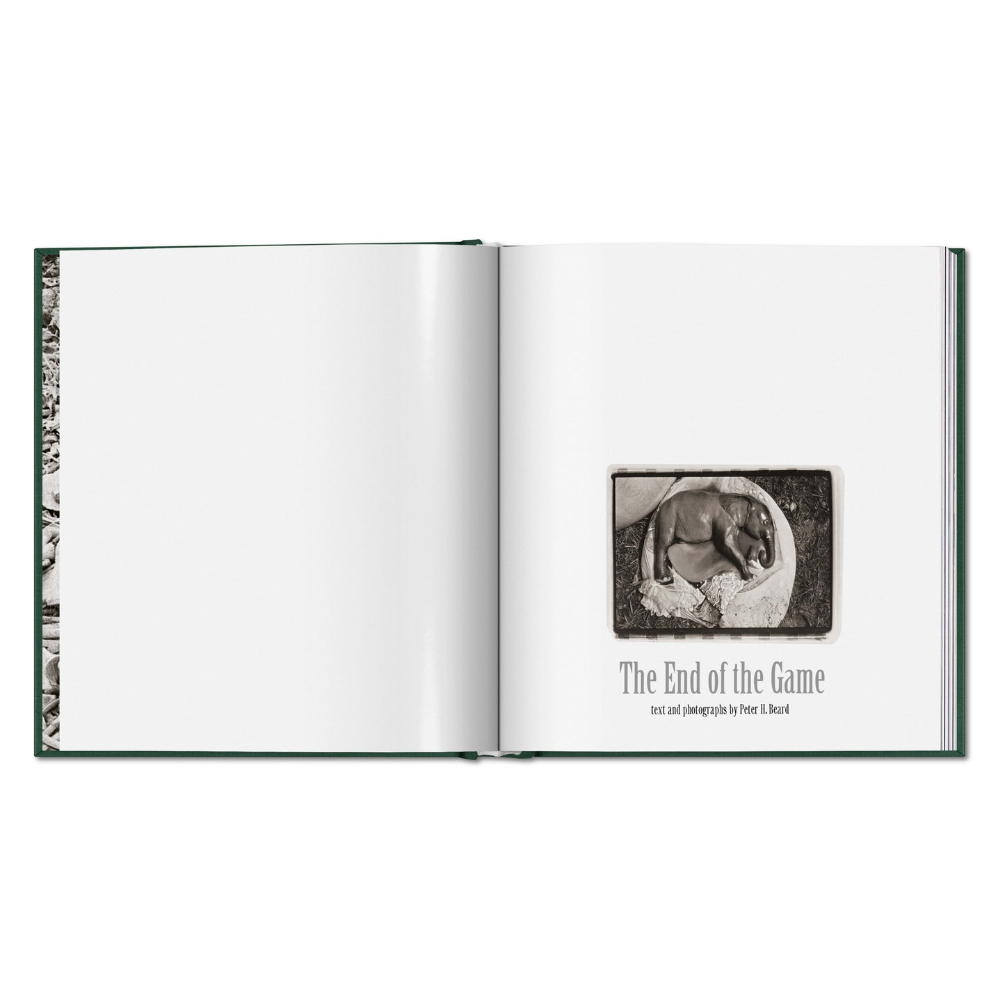 Peter Beard. The End of the Game (English)