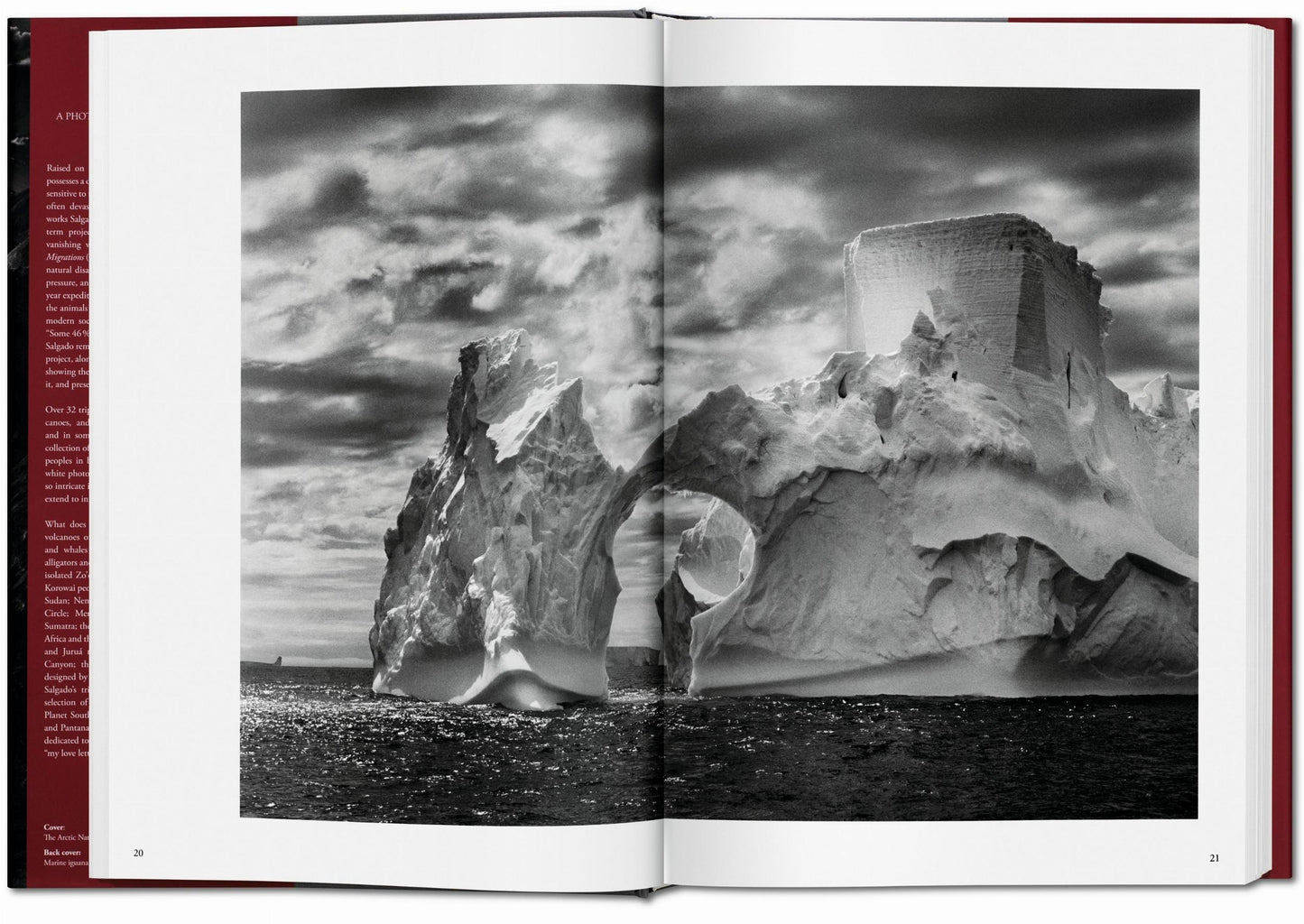 Sebastião Salgado. Genesis (English)