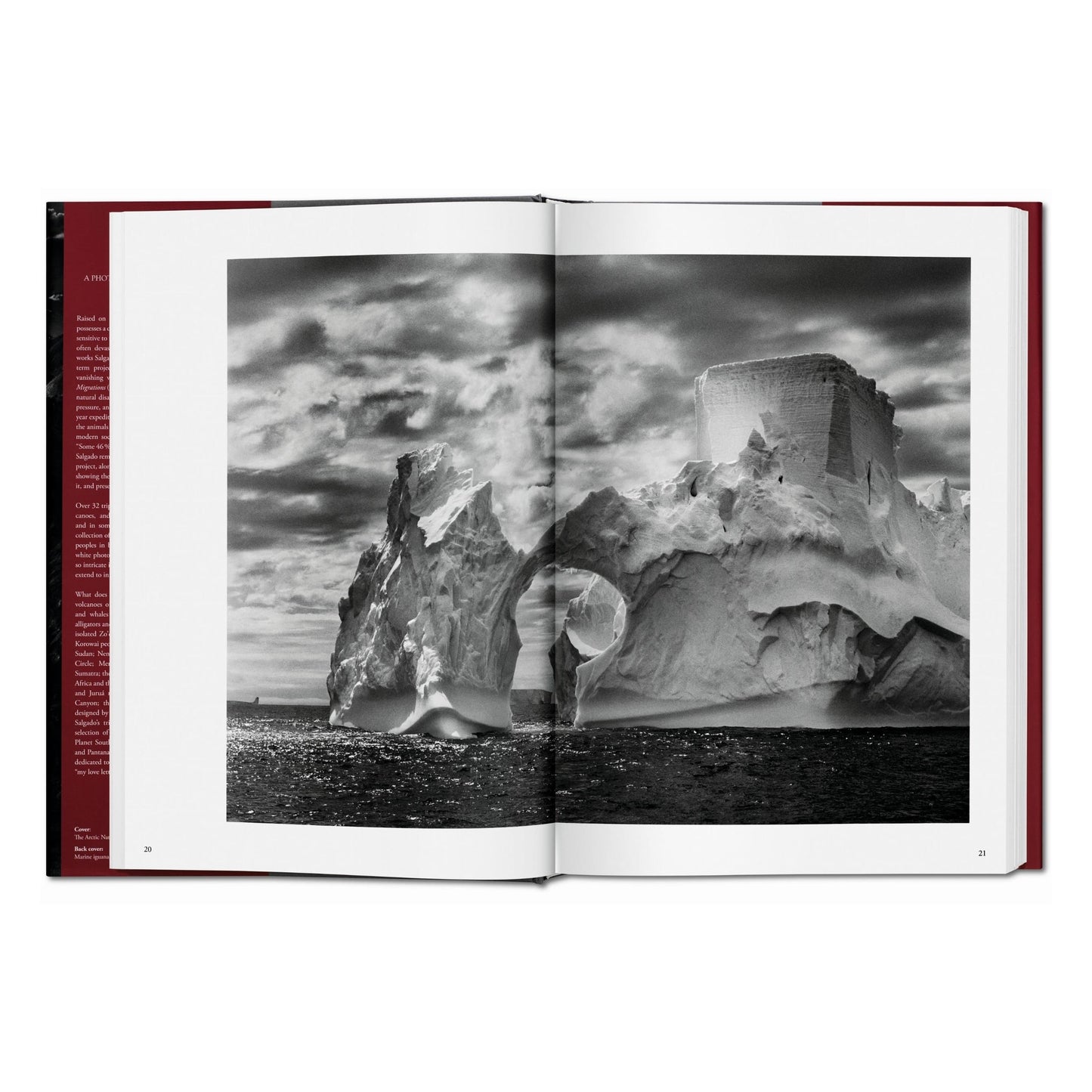 Sebastião Salgado. Genesis (French)