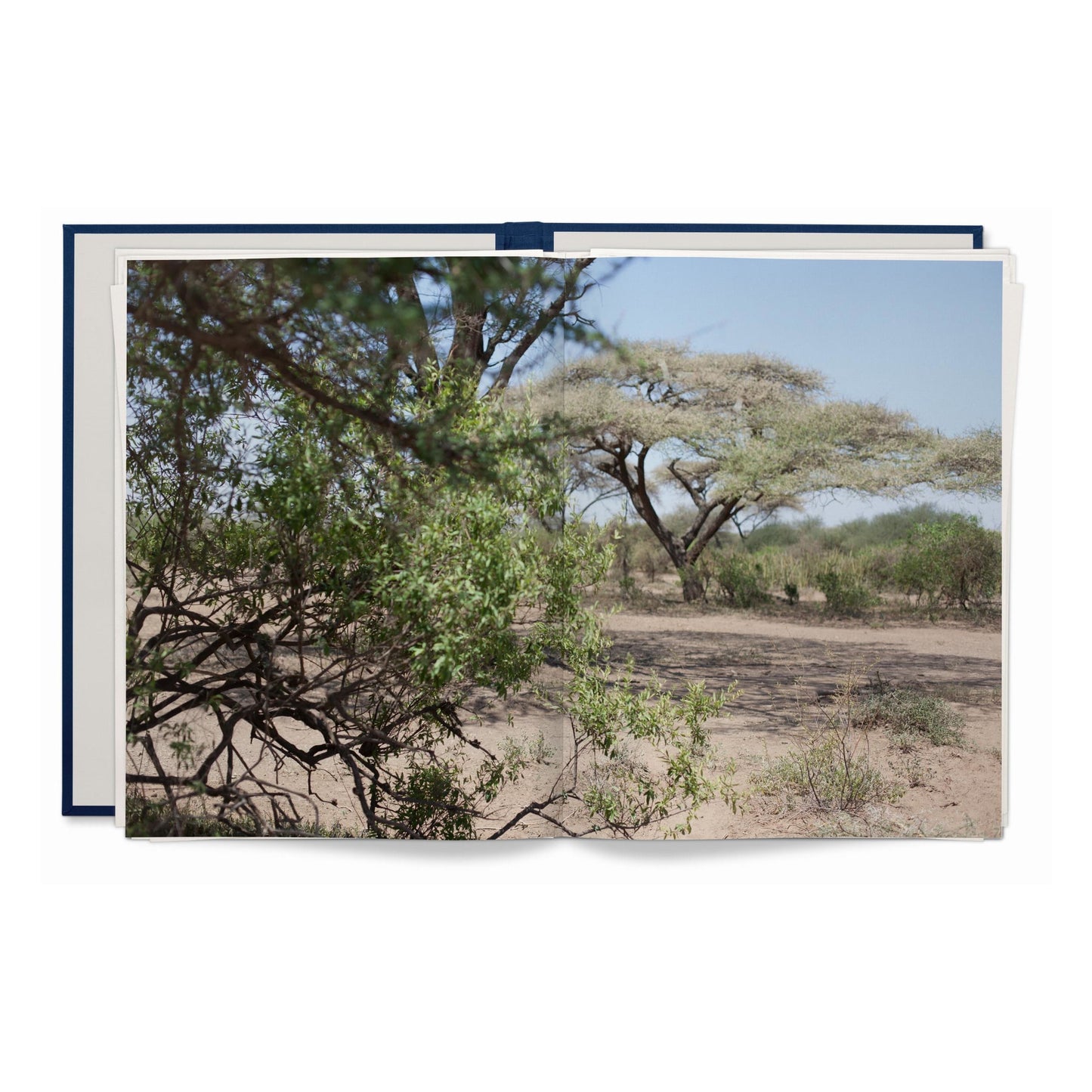 Wolfgang Tillmans. Neue Welt, Art Edition (German, French, English)