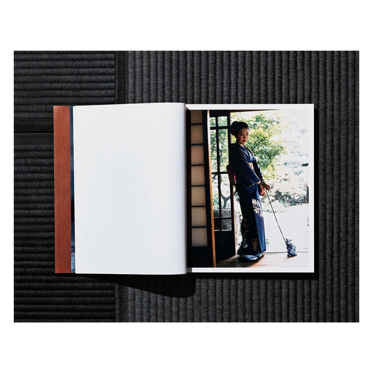 Nobuyoshi Araki. Bondage (German, French, English) (SA)