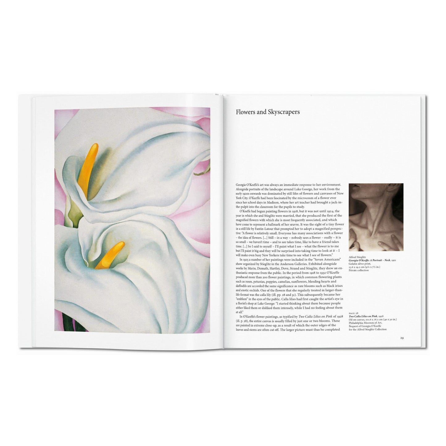 O'Keeffe (Spanish)