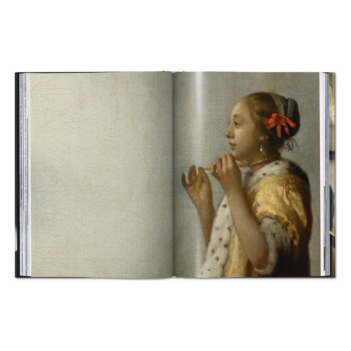 Vermeer. L'œuvre complet (French)