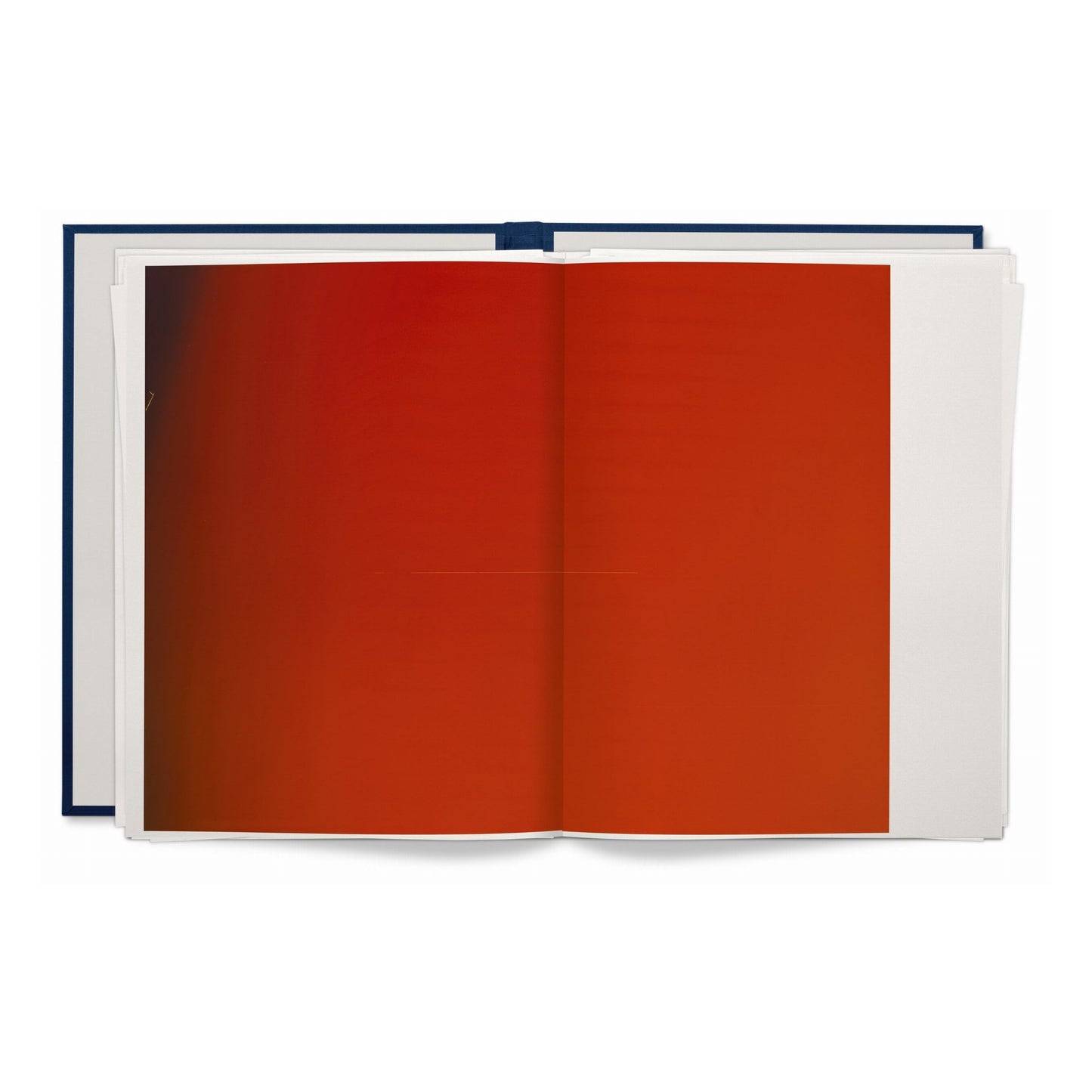 Wolfgang Tillmans. Neue Welt. Art Edition (German, French, English) (AP)