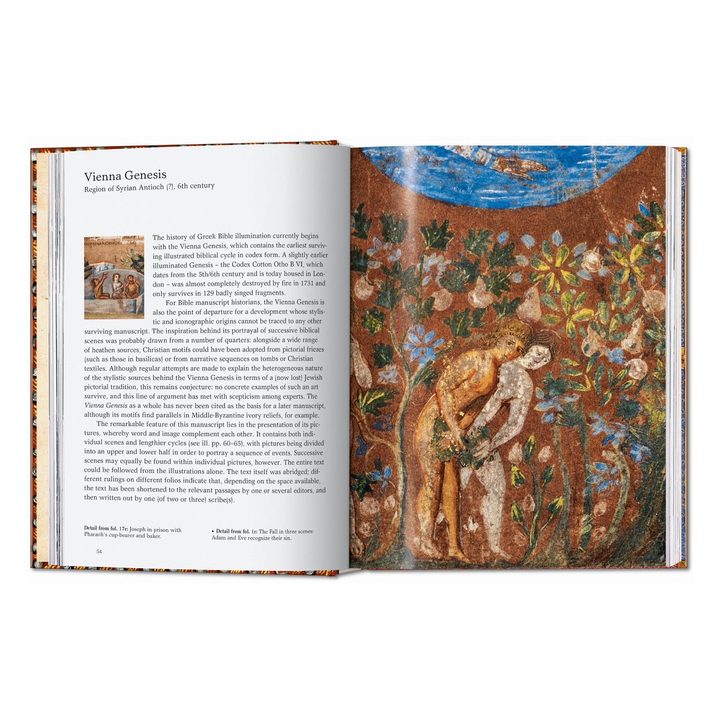 Das Buch der Bibeln. 40th Ed. (German)