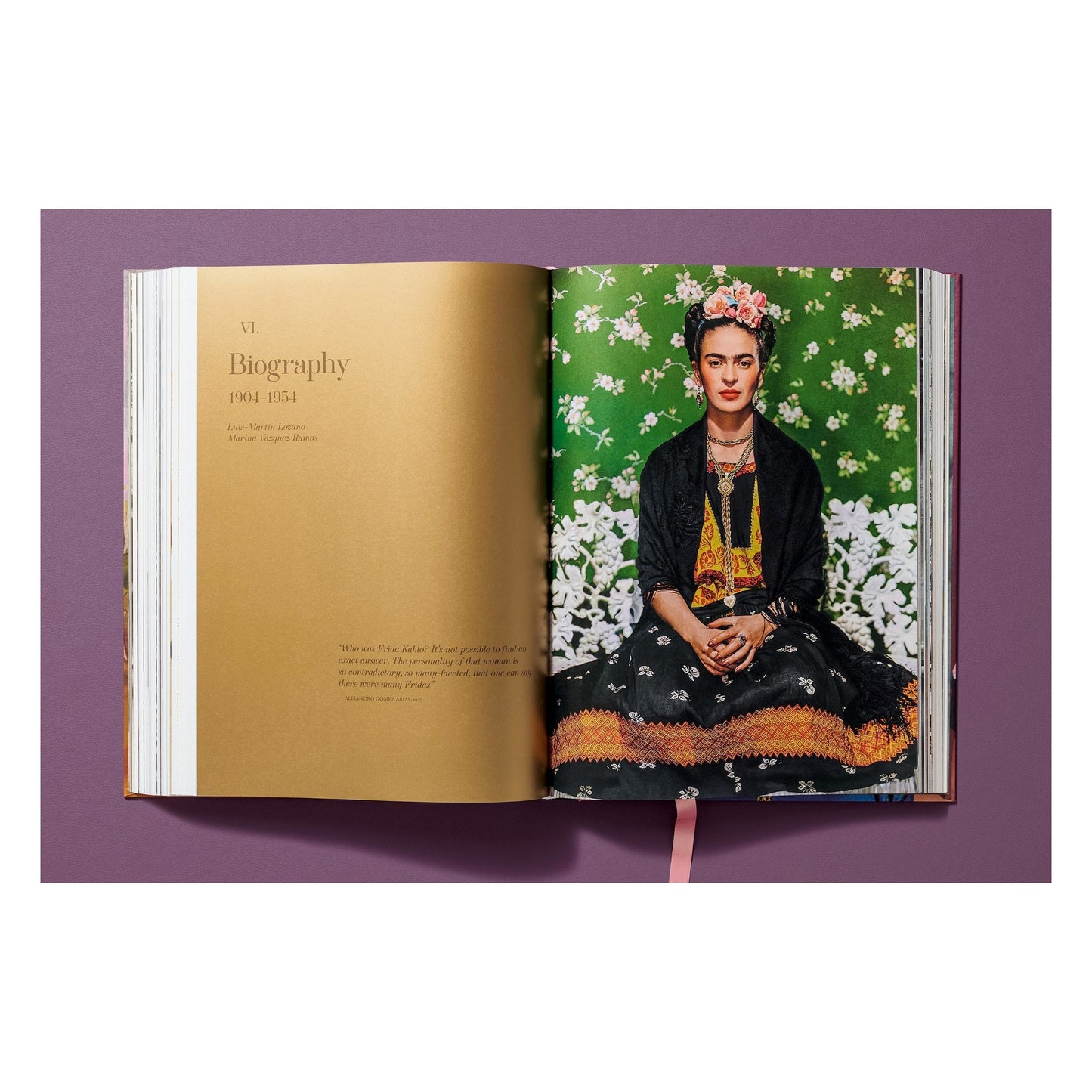 Frida Kahlo. Toute l'œuvre peinte (French)