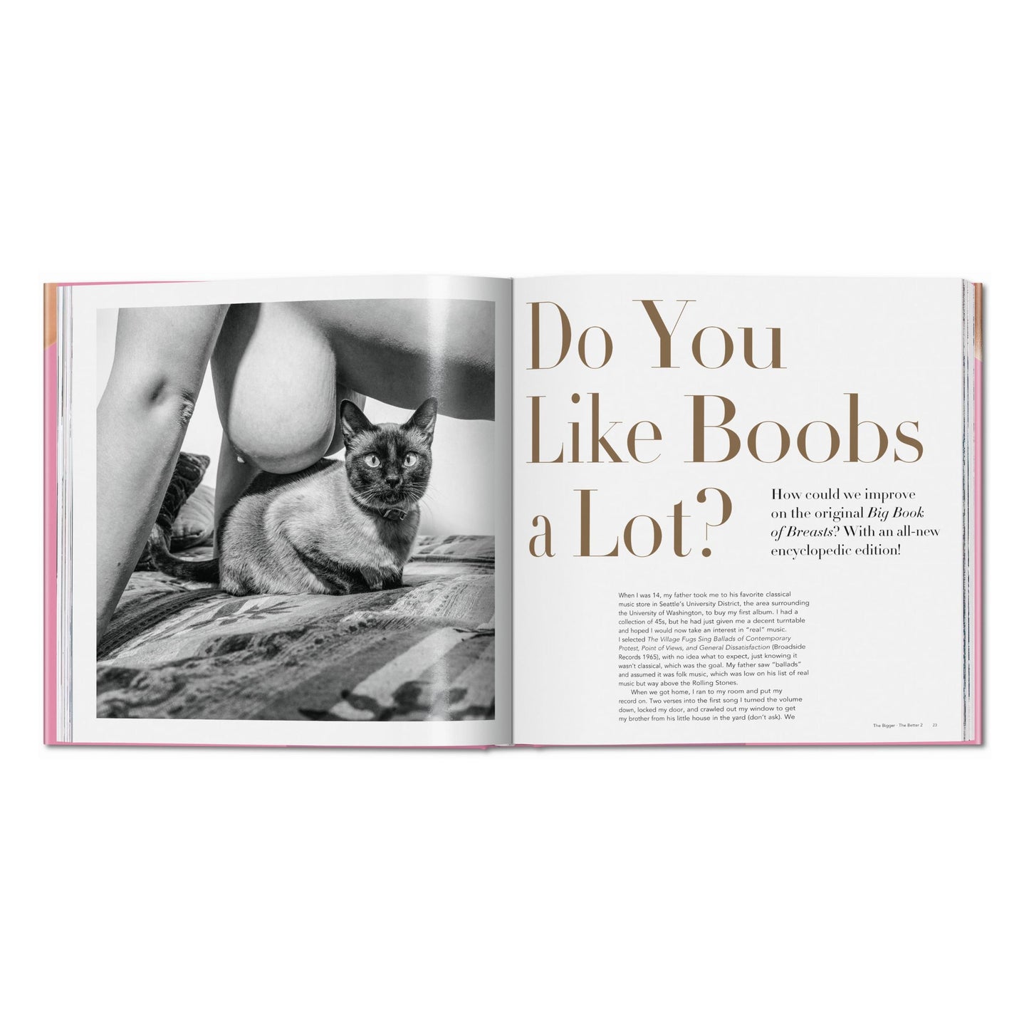 The Bigger Book of Breasts (English)