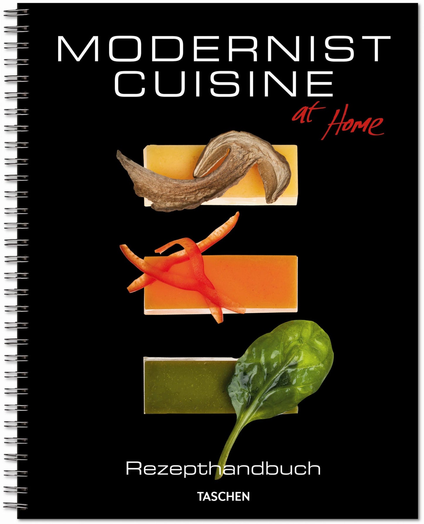 Modernist Cuisine at Home (Spanish)