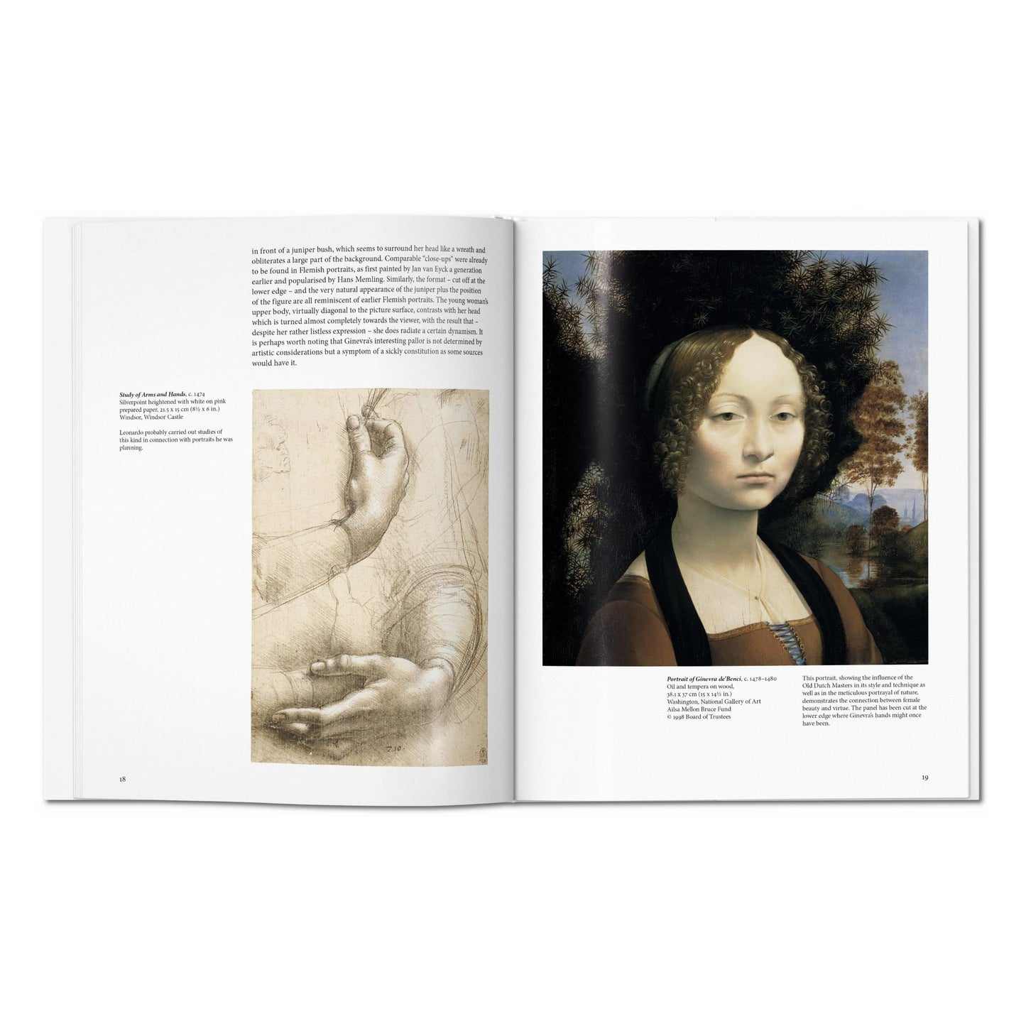 Leonardo (Spanish)